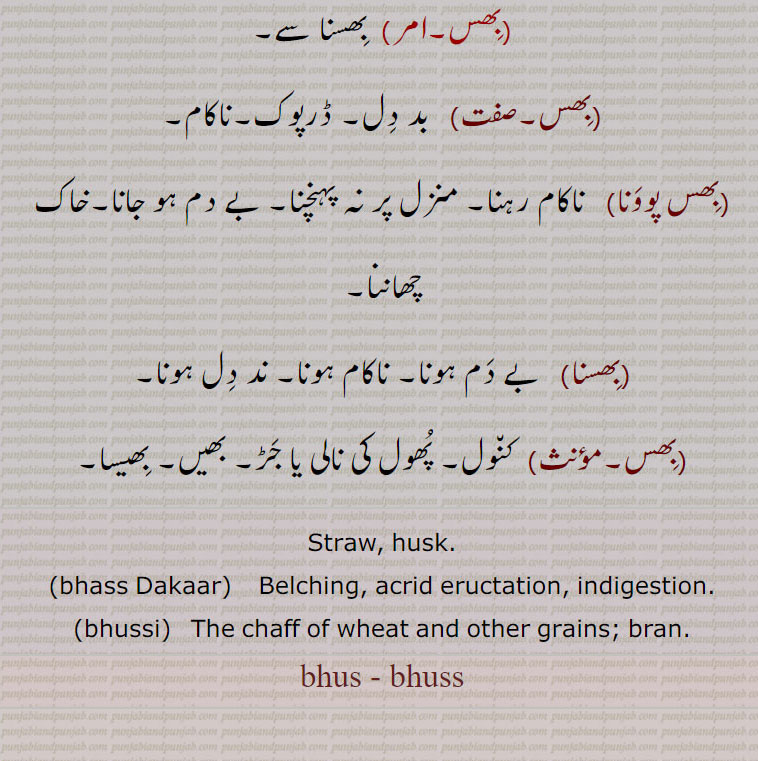    بِھس ,توڑی,خاک,بھوسی, مٹی,سوڑی,چھان, چوکر, اسپغول کا ,کُپ, بھسی,بھسیرا,بھس ڈکار,بھساڑا,بھس اڑانا,بھس بھرنا,بھس بھروانا,بھس دے مول ملیدہ,بھس کھانا,بھس نوں چنگاری لانا,بھس,بھس پوونا,بھسنا, ،bhusط bhuss , ਭਸੱ, bhussi, ਭੁੱਸੀ,bhass Dakaar, 