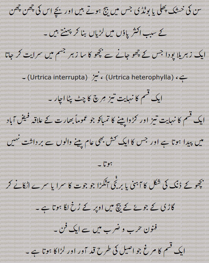 بچھوا,bichhua,bichhooa,bichua,ਬਿਛੂਆ,,Traditional Ornaments of Punjab,Jewellery,jewelry,zaiwar,زیور, ,گہنا,بُھوکھن,النکار,ٹُوم,ٹومب,ٹونب چھلا,Traditional Ornaments of Punjab,, 