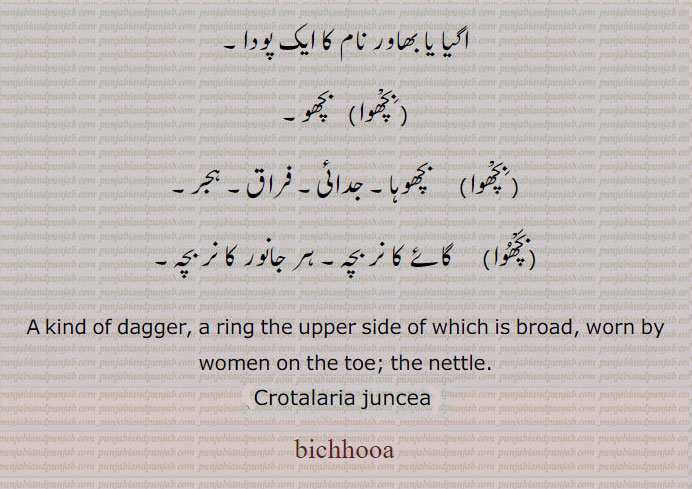 بچھوا,bichhua,bichhooa,bichua,ਬਿਛੂਆ,,Traditional Ornaments of Punjab,Jewellery,jewelry,zaiwar,زیور, ,گہنا,بُھوکھن,النکار,ٹُوم,ٹومب,ٹونب چھلا,Traditional Ornaments of Punjab,, 