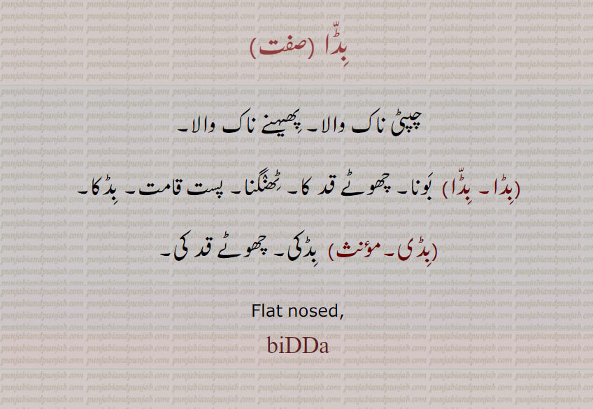 ,بڈا,بڈی, ਬਿੱਦਾ,bidda 
چھوٹا قد  , پھیہن نک والا۔ بڈکی۔ چپٹی ناک والا
,  Flat nosed
,