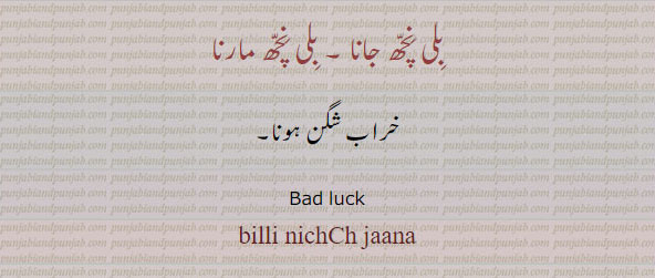 بلی نچھ جانا, بلی نچھ مارنا ,ਬਿੱਲੀ ਨਿੱਛ ਜਾਣਾ , ਬਿੱਲੀ ਨਿੱਛ ਮਾਰਨਾ,billi nichCh jaana,خراب شگن