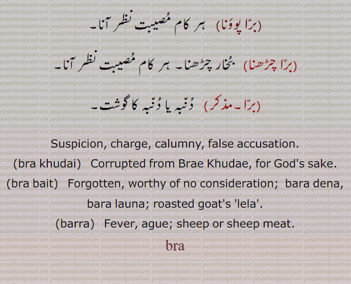  برا, برا خدائی,برا بیت, برا, بریرا,برا پوونا, برا چڑھنا,bra khudai,bra bait,barra,bra, برا,bara, ਬਰਾ , بھرم, کلن٘ک, اُوج, جُھوٹ,دوش,شُبہ,تُہمت, جُھوٹا اِلزام ,بُھنا ہوا بکری کا لیلا ,  برا, برائے,برا خُدائی, برائے خُدائے, براہ خُدا, خُدا کے واسطے,برا بیت,    بھول گیا۔ غور و فکر کے لائق نہیں,برا,  وَڈّا۔ بڑا۔ بھاری۔ وزنی۔ اُتّم۔ سریشٹ,بریرا, بہت بھاری۔ ناقابلِ برداشت۔ بوجَھل,برا,تیز بُخار۔شدید قسم کا بُخار,  کپکپی والا بُخار۔ باری کا ملیریائی بخارجس میں وقفے وقفے کے ساتھ سردی محسوس ہوتی ہے۔ اپنے آپ کو بخار زدہ ظاہر کرنا,برّا پووَنا, ہر کام مُصیبت نظر آنا,برّا چڑھنا,  بُخار چڑھنا, ہر کام مُصیبت نظر آنا,برّا, دُن٘بہ یا دُن٘بہ کا گوشت,Suspicion, charge, calumny, false accusation.,bra khudai,Corrupted from Brae Khudae, for God's sake.,bra bait,  Forgotten, worthy of no consideration;  bara dena, bara launa; roasted goat's 'lela'.,barra,  Fever, ague; sheep or sheep meat.,bra,