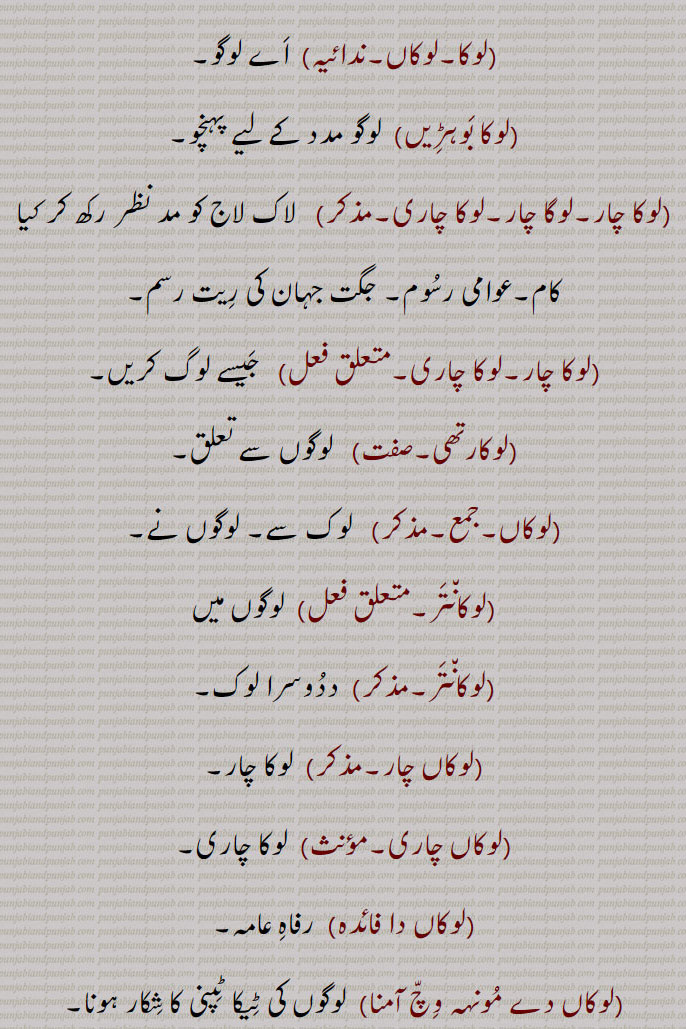 

(لوک ہِت۔مذکر)  جن سادھارن کے بھلے کی بات۔ لوگوں کا لابھ۔
(لوک ہتکاری۔صفت)  جنتا کا بھلا کرنے یا سوچنے والا۔ جنتا کے بھلے سے متعلق۔
(لوک ہِتَیشی۔صفت)  لوک ہِتکاری۔

(لوکا چار۔لوگا چار۔لوکا چاری۔مذکر)   لاک لاج کو مد نظر رکھ کر کیا کام۔عوامی رسُوم۔ جگت جہان کی رِیت رسم۔
(لوکا چار۔لوکا چاری۔متعلق فعل)   جَیسے لوگ کریں۔
(لوکارتھی۔صفت)   لوگوں سے تعلق۔
(لوکاں۔جمع۔مذکر)   لوک سے۔ لوگوں نے۔
(لوکان٘تَر۔متعلق فعل)  لوگوں میں
(لوکان٘تَر۔مذکر)  ددُوسرا لوک۔
(لوکاں چار۔مذکر)  لوکا چار۔
(لوکاں چاری۔مؤنث)  لوکا چاری۔
(لوکاں دا فائدہ)  رفاہِ عامہ۔
(لوکاں دے مُونہہ وِچّ آمنا)  لوگوں کی ٹِیکا ٹِپنی کا شِکار ہونا۔
(لوکاں ہَت) لوگوں کے ہاتھ میں۔
(لوکانا۔صفت)  لوگوں سے تعلق۔ لگوں کا۔
(لکوکانی۔صفت)  لوگوں کی۔ لوگوں کے ساتھ تعلق۔