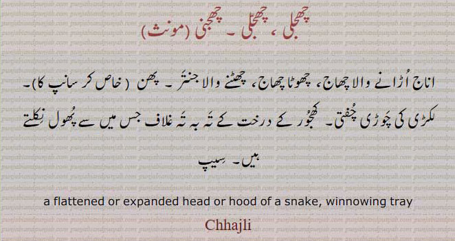  چھجلی ، چھجلی ، چھجنی, a flattened or expanded head or hood of a snake. winnowing tray, چھجلی, Chhajli,ਛਜਲੀ، اناج اُڑانے والا چھاج۔ چھوٹا چھاج۔ چھٹنے والا جنتر۔ پھن خآص کر سانپ۔ لکڑی کی چوڑی چفتی۔ کھجور کے درخت کے تہ بہ تہ غلاف جس میں سے پھول نکلتے ہیں۔ سیپ۔ 