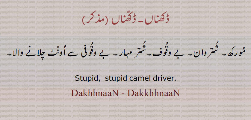  Dakhhnan,Dakkhhnan,Dakhhna, Dakkhhna,ڈکھنا,ڈکھناں,ਡਖਨਾਂ , ਡੱਖਨਾਂ ,stupid,بے وقوف, شتر مہار