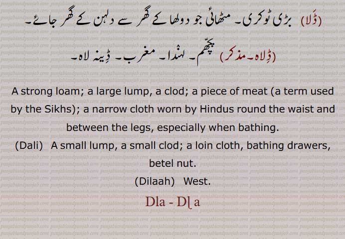   ڈلا  ,مٹّی کا ڈھیلا,بڑا روڑا, ڈھیم, ڈھمّا,ڈلھ, کسی شے کا موٹا ٹکڑا,ٹکڑا, مکّر, گوشت کا ٹکڑا,منجمد یا بڑے حجم کی چیز کا ٹکڑا,کلوخ,وٹّا,سونے کا ٹکڑا,نقدی, مجازاً  سینے کا زخم, بوجھ,
دلا,دھوتی, چادر, تہمد,تہمت, لنگوٹ, جانگھیا,کمر کے ارد گرد باندھے والی چادر چھوٹی ,ڈلی,,ڈلاہ, A strong loam; a large lump, a clod; a piece of meat (a term used by the Sikhs); a narrow cloth worn by Hindus round the waist and between the legs, especially when bathing,Dali,Dilaah,   West,, ڈلا , dala ,  ਦਲਾ, ਡਲੀ ,dali, ڈلی  ,  dla, 
