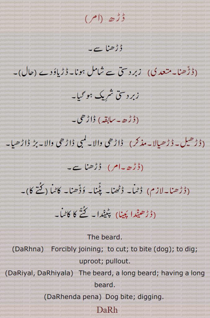  ڈڑھ , DaRh, ਡੜ੍ਹ , DaRhna, ਡੜ੍ਹਨਾ, ڈڑّھنا ,DaRiyal, DaRhiyala ,ڈڑھیل, ڈڑھیالا,ڈڑھیندا پَینا, DaRhenda pena,,  