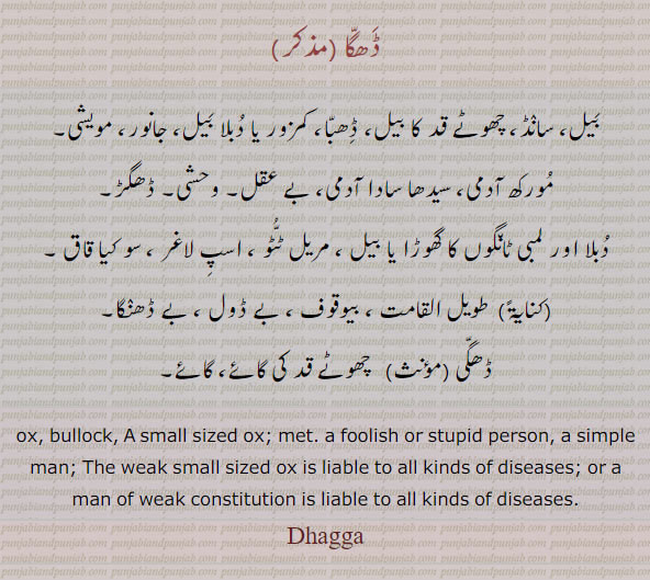   ڈگا,ڈھگا ,Dhagga, ਢੱਗਾ,  سانڈ , بیل , ڈھگی , چھوٹے قد کی گائے  , مورکھ, وحشی ,بے ڈول,لاغر