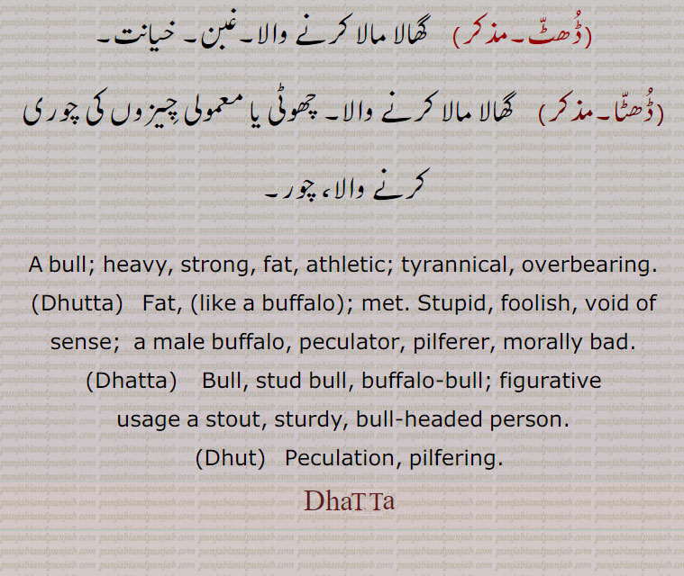  ڈھٹا ,سانھ۔ سنڈھا۔ ڈھٹو۔ڈھگا۔ بلد۔ داند۔ طاقت والا بیل۔نسل کشی کے لٸے چھوڑا ہوا بیل۔ایک بیل۔حد سے زیادہ برداشت کرنے والا,ڈھٹا,بھارا۔ موٹا۔ تکڑا۔ ڈاڈھا۔ ڈٹا,ڈھٹو, ڈھٹا,ڈھٹ۔ڈھٹ, لت۔ عیب۔بری عادت۔ خیانت۔چوری (چھوٹی یا معمولی)۔ خرد برد,ڈھٹا۔ڈھٹا,خراب عادت والا۔ بھیڑی لت والا۔خراب اخلاق والا۔ ذلیل آدمی۔ چالا چلن کا خراب,بدمعاش۔بھیڑا۔ اخلاقی خراب,ڈھٹ, ڈھٹھ۔خاص خاص مویشیوں کی پیٹھ یا کوہان,ڈھٹ,  گھالا مالا کرنے والا۔غبن۔ خیانت,ڈھٹا,  گھالا مالا کرنے والا۔ چھوٹی یا معمولی چیزوں کی چوری کرنے والا، چور۔
A bull; heavy, strong, fat, athletic; tyrannical, overbearing.
,Dhutta,   Fat, (like a buffalo); met. Stupid, foolish, void of sense;  a male buffalo, peculator, pilferer, morally bad.,Dhatta,    Bull, stud bull, buffalo-bull; figurative usage a stout, sturdy, bull-headed person.,Dhut,   Peculation, pilfering.,Dhatta,,Dhatta, ਢੱਟਾ, Dhutta, ਧੂੱਤਾ,Dhatta, ਢੱਟਾ, Dhut,  ,ڈھٹ,Dhatta, ਢੱਟਾ, Dhutta, ਧੂੱਤਾ,Dhatta, ਢੱਟਾ, Dhut، , animal, جانور 