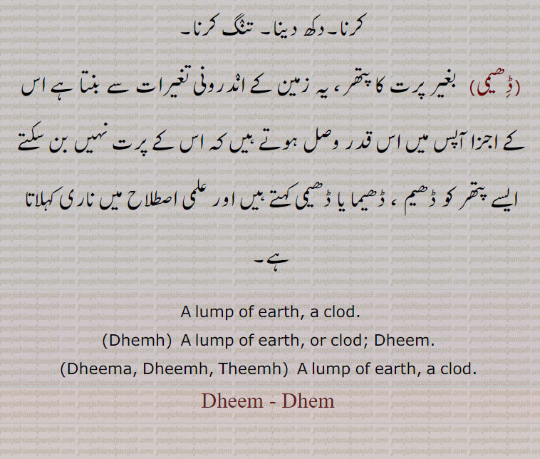  ڈھیم۔ ڈھیم ,تھیمھ۔مٹی کا ڈلا۔ ڈھیلا۔ ڈھینب۔مٹی کا بڑا ڈھیلا۔ گری ہوئی عمارت کے ملبے, اینٹ مٹی وغیرہ, کا ڈھیر,ڈھیمھ, ڈھیم,ڈھیم بجھنا, گیلی مٹی کا خشک ہو کر ڈھیم (ڈھیماں) بن جانا,ڈھیما,  ڈھیم کا مکبر۔ چلمن بننے کی ڈوری کا بڑا گولہ جو کسی پتھر کے ٹکڑے پر بنا لیا جائے تا کہ وزن سے لٹکا رہے۔
ڈھیپا۔ سلی۔پیٹ۔ شکم۔ جانوروں کا پوٹا۔ جھلڑ۔ ڈھیمی ، بغیر پرت کا ایک پتھر,ڈھیماں, ڈھیم  کی جمع,ڈھیماں مارنا,   پتھر مارنا۔وٹے مارنا۔روڑے مارنا۔طعنے دینا۔شرارت کرنا۔دکھ دینا۔ تنگ کرنا,ڈھیمی,  بغیر پرت کا پتھر، یہ زمین کے اندرونی تغیرات سے بنتا ہے اس کے اجزا آپس میں اس قدر وصل ہوتے ہیں کہ اس کے پرت نہیں بن سکتے ایسے پتھر کو ڈھیم ، ڈھیما یا ڈھیمی کہتے ہیں اور علمی اصطلاح میں ناری کہلاتا ہے,A lump of earth, a clod.,Dhemh,  A lump of earth, or clod; Dheem. ,Dheema, Dheemh, Theemh,  A lump of earth, a clod. ,Dheem - Dhem, ڈھیم , ਢੀਮ , Dheem,Dhem,ਢੀਮ ,,ਢੀਮ , ਢੀਮ੍ਹ , Theemh,ਠੀਮ੍ਹ ,ਢੇਮ੍ਹ,Dhemh,  