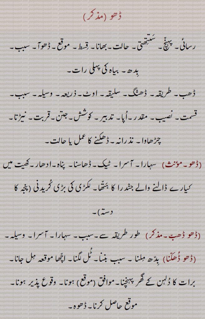  ڈھو ,رسائی۔ پہنچ۔ ستتھتی۔ حالت۔بھانا۔ قسط۔ موقع۔ڈھوآ۔ سبب۔ بدھ۔ بیاہ کی پہلی رات,ڈھب۔ طریقہ۔ ڈھنگ۔ سلیقہ۔ اوٹ۔ذریعہ۔ وسیلہ,سبب۔قسمت۔ نصیب۔ مقدر۔اپا۔ تدبیر۔ کوشش۔ جتن۔ قربت, نیڑتا۔چڑھاوا۔ نذرانہ۔ڈھکنے کا عمل یا حالت,ڈھو, سہارا۔ آسرا۔ ٹیک۔ڈھاسنا۔ پناہ۔ادھار۔کھیت میں کیارے ڈالنے والے جندرا کا ہتھا۔ لکڑی کی بڑی کریدنی ,پنجہ کا دستہ ,ڈھو ڈھب۔,   طور طریقہ سے۔سبب۔ سہارا۔ آسرا۔ وسیلہ,ڈھو ڈھکنا, بدھ ملنا ۔ سبب بننا۔ ٹل لگنا۔ اچھا موقعہ مل جانا۔ برات کا دلہن کے گھر پہنچنا۔موافق (موقع) ہونا۔ وقوع پذیر ہونا۔ موقع حاصل کرنا۔ڈھوہ,ڈھو ڈھکدا دسن,  کام سنورتا نظر آنا۔ گل بندی لگنا,ڈھو لگنا,  سبب بننا,ڈھو ملنا,  سبب ملنا۔ بدھ ملنا,ڈھو لبھن,    سہارا ڈھونڈنا۔ وسیلہ پیدا کرنا,ڈھو نال,  سبب سے۔ اتفاق سے,ڈھو بناونا)   آسرا بنانا۔ سبب بنانا۔ وسیلہ بنانا,ڈھو میلا,  سبب ۔ موقع۔ذریعہ,ڈھو نہ ڈھکن,   وسیلہ نہ بننا۔ سبب نہ بننا۔داہ نہ لگنا,ڈھو ڈھکدا دسن,   کم سنورتا نظر آنا۔ گل بندی لگنا,ڈھوآ,   بھینٹ۔چڑھاوا۔ نذرانہ۔ پیش کی ہوئی ڈالی۔ چھوٹوں کی برف سے بڑوں کو نذر کی ہوئی ڈالی (پھل۔ پھول)۔پھل پھول کا تحفہ جو کسی کمتر درجہ کے شخص کی طرف سے اپنے افسر کو بھیجا جائے ، ڈالی۔ سوغات۔ دلہن کے لیے بیاہ سے پہلے دلہا کی طرف سے بھیجے زیور کپڑے وغیرہ (آنا)۔ ڈھکاؤ,بارات کے ڈھکنے کی حالت۔ ملاقات۔آسرا۔ سہارا۔ ٹیک۔ ڈھو۔حملہ۔ ہلا۔ چڑھائی۔موقع,ڈھوآ ڈھونا,   تحفہ لے جانا,ڈھ, ڈھونا سے,ڈھو دینا, ڈھونا۔قریب لانا,ڈھو ڈھوائی,   مال اسباب کو ایک جگہ سے دوسری جگہ لے جانے کا کام۔ ڈھونے کا کام۔ باربرداری,ڈھو لانا,    ٹیک لگانا۔سہارا لینا۔کسے شے نال کنڈ لا کے بہنا یا  کھلونا,ڈھوآ ڈھائی۔ڈھوآ ڈھوائی۔ڈھوآ ڈھہائی,  ڈھو ڈھوائی۔نقل و حمل; گاڑی، نقل و حمل، سامان کی منتقلی۔کسے شے نوں ڈھون دا عمل تے اوہدے اجرت۔
 ڈھونا, ڈھوہنا , پہنچنا, اٹھانا۔ لے جانا۔ پٹانا۔ کسی منزل کے نزدیک لانا یا پہنچانا۔ وزن اٹھا کر ایک جگہ سے دوسری جگہ پہنچانا۔نقل و حمل۔ لے جانے۔ پہنچانے کے لئے۔ پیش کرنا۔ لانا۔ بھیڑنا۔ مندنا۔ مثلاً  دروازہ ڈھونا,ڈھووائی۔ڈھوائی,  ڈھووائی۔بوجھ لے جانے کی اجرت,ڈھوونا, ڈھونا,ڈھواؤنا۔ڈھوانا,   ڈھونا سے۔ ڈھونے کا کام کرنا۔ڈھوانا,ڈھوئی,  ڈھونے والا۔ مال اسباب لانے لے جانے والا۔ غلہ وغیرہ ڈھونے کا عمل,ڈھوئی,  رسائی۔ پہنچ۔ داخلہ۔پناہ,ڈھوئی دینی,   پناہ فراہم کرنا۔سہارا فراہم کرنا,ڈھوئی ملانی,  پناہ تلاش کرنا۔سہارا تلاش کرنا,ڈھوئی,اٹھا کر بوجھ لے گئی۔دخل۔ اوٹ۔ پناہ۔ آسرا۔ سہارا۔ قدر۔ جاننا۔ ملنا,ڈھوئے ہاں, قریب کئے گئے ہیں,ڈھویا,  ڈھونا سے۔ ڈھوٹھا,ڈھوہ,   سہارا۔ڈھو,ڈھوہ, پہنچ۔ڈھو۔دو مدعا علیہان کے لئے ایک مخصوص جگہ پر ملاقات کا وقت ٹھہرانا تاکہ ان کے تنازعہ کا فیصلہ کیا جاسکے,ڈھوہ جانا,  دو مدعا علیہان کے لئے مقرر کردہ جگہ پر جانا تاکہ ان کے تنازعہ کا فیصلہ کیا جاسکے,ڈھوہ لانا۔ڈھوہ لاؤنا,  دیوار یا کسی بھی چیز کا  سہارا ہونا,ڈھوہنا,  ڈھونا ,اٹھا کر لے جانا۔ہٹا دینا وغیرہ, ڈھوہنا,بھیڑنا۔ بند کرنا (دروازہ)۔ پاس لانا۔ قریب لانا۔ نزدیک آنے دینا,ڈھوہو, باربردار,ڈھوہے,  اٹھا کر لائے,ڈھوہسیاں, ڈھونا سے,ڈھوہیندا,ڈھوہنا سے,ڈھو,  ڈھونا سے۔ دھو,ڈھوونا,  دھونا۔ نہانا,ڈھو, ڈھونا سے,ڈھو, ڈھائی۔ اڑھائی,ڈھوگنا,ڈھائی گنا۔ ڈھونا,ڈھونا,  ڈھائی گنا۔ ڈھو گنا,ڈھونا,   ڈھائی (اڑھائی) کا پہاڑا,ڈھونا,  ڈھانا,ڈھو,  ڈھو,ڈھو۔ڈھوہ۔ڈھوہ,  ڈھوئیا۔ پٹھ۔ کنڈ,ڈھوہ کھلا کرنا۔ڈھوہا کھلا رکھنا, ساری واہ لانا۔ پوری ہمت خرچ کرنا,ڈھو گھٹنی,   تنگ پاجامہ۔ پد گھٹنی,ڈھوہ لانا,   پیٹھ لگانا۔ ہرانا,ڈھوہا,  ڈھوآ۔ چوتڑ۔ بنڈ۔ مقعد۔ پٹھ۔ کنڈ۔ ڈھو۔ کمر,ڈھوہی, ڈوہی۔ گدا۔ چوتڑ۔ دبر۔ پیٹھ۔ پٹھ۔ کنڈ,ڈھوہی ٹکنا, ڈھوہی ٹگنا۔ آرام تسلی سے بیٹھنا,ڈھوہی ٹگنا,  ڈھوہی ٹکنا,ڈھوہی دا ٹل/زور لانا,  پورا زور لگانا,ڈھوہی نہ لگنا,   ٹک کر نہ بیٹھنا,ڈھوئی,  ڈھوہی۔ڈھو۔ آسرا۔ ڈھوآ,ڈھوہ گھتنا,  کٹی ہوئی فصل کو گٹھڑیاں باندھ باندھ کر اٹھانا,ڈھوہ لوانی, سہارا دینا۔آرام کرنے کے لئے  تکیے وغیرہ دینا,ڈھوک, ڈھونے کا عمل۔بستی,ڈھوئی,ڈھوہی,ڈھوئی ترٹا,  ترک۔ لگڑ بگڑ۔لکڑ بھگا۔ بگڑ بگا۔ایک درندہ,ڈھوئی کھڑی کرنا,ڈھوہا کھلا کرنا,ڈھوئیا,  ڈھوآ۔سوغات۔ آسرا,ڈھویجنا,  ڈھوہنا سے,ڈھو ڈیونا,  وحشی جانوروں کی طرح چھپ رہنا,ڈھوآ,   کمر۔لک۔ڈھڈی۔ پٹھ۔ڈھوئی,ڈھوئیا۔ڈھوہا۔ چوتڑ۔ گانڈ۔ پیٹھ۔ کمر,ڈھوآ کھڑا کرنا,  انتہائی کوشش کرنا,ڈھوئی,   ٹھکانا۔ آسرا وغیرہ,ڈھوا, ڈھوانا سے,ڈھونا,  کسی چیز کو گرانا,ڈھوانا,  ڈھانا سے۔ڈھونا سے۔ ڈھوانا۔ کسی چیز کو گرانا,ڈھہاؤنا۔ڈھہاوانا,   کسی چیز کو گرانا۔,مسمار کرنا یا مٹانا۔ کسی کو کشتی میں شکست دینا یا حاصل کرنا,ڈھوائی,  ڈھاہنے کا کام یا اجرت۔ ڈھوائی,ڈھوا,  ڈھوانا سے,ڈھوانا,  ڈھونا سے۔ڈھونے کا کام کرنا۔ڈھا سے۔ ڈھوانا,ڈھوائی, ڈھلائی۔ڈھونے کا کام یا اجرت۔ ڈھوائی,ڈھوا,بہانہ۔ حیلہ,ڈھوا دھرنا,
Circumstance, event, case, incident; opportunity, chance, accident; lot; the handle of a large wooden rake ('jaNdra'); an imperative of  'DhoNa'.,Dho Dena,  To bring near, to bring.,Dho Dhukkna, To be favourable (opportunity), to occur, to chance. Also see 'Dhoh'.,Dho,  Imperative form of 'Dhona', carry, transport.,Dhoa,  Co-incidence, chance, opportunity.,Dhoa,  Same as 'Dho' , back-rest.,Dhoa dhukana, Dhoa lagna,  Co-incidence to occur, for a chance to offer itself.,Dhoa,Present, offering.,dhoa dhuai,   Transportation; carriage, conveyance, shifting of goods.,dhoa dhona, To carry and make a present.,Dhoh,   A support. rest; approach; an appointment for two litigants to meet at a certain place to have their dispute adjudicated upon.,Dhoh jaana,   To go to the place appointed for two litigants to have their dispute adjudicated upon.,Dhoh launa, To have support (of a wall or anything), to rest.,Dhahauna, Dhawauna,   To cause or get something demolished, razed or erased, to cause or get someone defeated in wrestling.,Dhoi,    Refuge, shelter, asylum.,Dhoi deni,   To provide refuge.,Dhoi milani,  To find refuge.,Dhoh,    Back-rest, rest, buttress shore, prop.,Dhoh deni,   To provide prop., to buttress.,Dho launi,   To recline on a rest (as on a pillow), to rest, against back-rest.,Dhok,  Same as 'jhok' hamlet.,Dhona,   To transport, carry, convey; to close, shut (door, etc.).
Dho,ਢੋਅ, ਢੋਅ,ਢੋਹ ,  ਢੋਅ ਢੁਕਣਾ, ਢੋਅ ਲੱਗਣਾ, ਢੋਆ,ਢੋਆ ਢੁਆਈ , ਢੋਆ ਢੋਣਾ,ਢੋਹ, ਢਵਾਉਣਾ ,ਢੋਈ , ਢੋਈ ਦੇਣੀ,ਢੋਈ ਮਿਲ਼ਨੀ, ਢੋਹ, ਢੋਹ ਦੇਣੀ,ਢੋਹ ਲਾਉਣੀ,ਢੋਕ,ਝੋਕ,ਢੋਣਾ, ਢੋ,ਝੋਕ, 