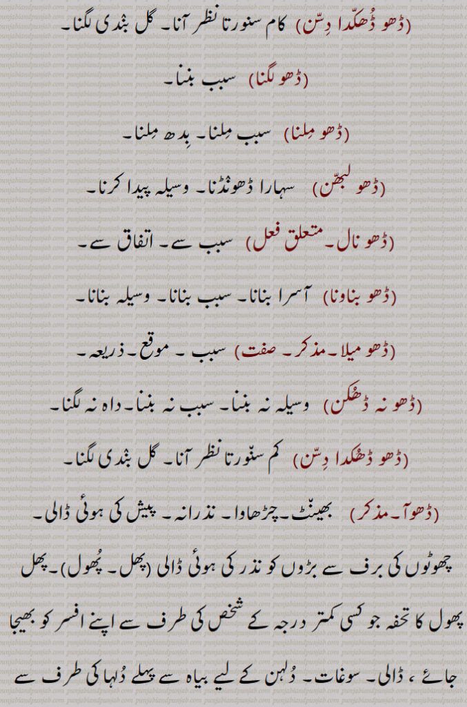  ڈھو ,رسائی۔ پہنچ۔ ستتھتی۔ حالت۔بھانا۔ قسط۔ موقع۔ڈھوآ۔ سبب۔ بدھ۔ بیاہ کی پہلی رات,ڈھب۔ طریقہ۔ ڈھنگ۔ سلیقہ۔ اوٹ۔ذریعہ۔ وسیلہ,سبب۔قسمت۔ نصیب۔ مقدر۔اپا۔ تدبیر۔ کوشش۔ جتن۔ قربت, نیڑتا۔چڑھاوا۔ نذرانہ۔ڈھکنے کا عمل یا حالت,ڈھو, سہارا۔ آسرا۔ ٹیک۔ڈھاسنا۔ پناہ۔ادھار۔کھیت میں کیارے ڈالنے والے جندرا کا ہتھا۔ لکڑی کی بڑی کریدنی ,پنجہ کا دستہ ,ڈھو ڈھب۔,   طور طریقہ سے۔سبب۔ سہارا۔ آسرا۔ وسیلہ,ڈھو ڈھکنا, بدھ ملنا ۔ سبب بننا۔ ٹل لگنا۔ اچھا موقعہ مل جانا۔ برات کا دلہن کے گھر پہنچنا۔موافق (موقع) ہونا۔ وقوع پذیر ہونا۔ موقع حاصل کرنا۔ڈھوہ,ڈھو ڈھکدا دسن,  کام سنورتا نظر آنا۔ گل بندی لگنا,ڈھو لگنا,  سبب بننا,ڈھو ملنا,  سبب ملنا۔ بدھ ملنا,ڈھو لبھن,    سہارا ڈھونڈنا۔ وسیلہ پیدا کرنا,ڈھو نال,  سبب سے۔ اتفاق سے,ڈھو بناونا)   آسرا بنانا۔ سبب بنانا۔ وسیلہ بنانا,ڈھو میلا,  سبب ۔ موقع۔ذریعہ,ڈھو نہ ڈھکن,   وسیلہ نہ بننا۔ سبب نہ بننا۔داہ نہ لگنا,ڈھو ڈھکدا دسن,   کم سنورتا نظر آنا۔ گل بندی لگنا,ڈھوآ,   بھینٹ۔چڑھاوا۔ نذرانہ۔ پیش کی ہوئی ڈالی۔ چھوٹوں کی برف سے بڑوں کو نذر کی ہوئی ڈالی (پھل۔ پھول)۔پھل پھول کا تحفہ جو کسی کمتر درجہ کے شخص کی طرف سے اپنے افسر کو بھیجا جائے ، ڈالی۔ سوغات۔ دلہن کے لیے بیاہ سے پہلے دلہا کی طرف سے بھیجے زیور کپڑے وغیرہ (آنا)۔ ڈھکاؤ,بارات کے ڈھکنے کی حالت۔ ملاقات۔آسرا۔ سہارا۔ ٹیک۔ ڈھو۔حملہ۔ ہلا۔ چڑھائی۔موقع,ڈھوآ ڈھونا,   تحفہ لے جانا,ڈھ, ڈھونا سے,ڈھو دینا, ڈھونا۔قریب لانا,ڈھو ڈھوائی,   مال اسباب کو ایک جگہ سے دوسری جگہ لے جانے کا کام۔ ڈھونے کا کام۔ باربرداری,ڈھو لانا,    ٹیک لگانا۔سہارا لینا۔کسے شے نال کنڈ لا کے بہنا یا  کھلونا,ڈھوآ ڈھائی۔ڈھوآ ڈھوائی۔ڈھوآ ڈھہائی,  ڈھو ڈھوائی۔نقل و حمل; گاڑی، نقل و حمل، سامان کی منتقلی۔کسے شے نوں ڈھون دا عمل تے اوہدے اجرت۔
 ڈھونا, ڈھوہنا , پہنچنا, اٹھانا۔ لے جانا۔ پٹانا۔ کسی منزل کے نزدیک لانا یا پہنچانا۔ وزن اٹھا کر ایک جگہ سے دوسری جگہ پہنچانا۔نقل و حمل۔ لے جانے۔ پہنچانے کے لئے۔ پیش کرنا۔ لانا۔ بھیڑنا۔ مندنا۔ مثلاً  دروازہ ڈھونا,ڈھووائی۔ڈھوائی,  ڈھووائی۔بوجھ لے جانے کی اجرت,ڈھوونا, ڈھونا,ڈھواؤنا۔ڈھوانا,   ڈھونا سے۔ ڈھونے کا کام کرنا۔ڈھوانا,ڈھوئی,  ڈھونے والا۔ مال اسباب لانے لے جانے والا۔ غلہ وغیرہ ڈھونے کا عمل,ڈھوئی,  رسائی۔ پہنچ۔ داخلہ۔پناہ,ڈھوئی دینی,   پناہ فراہم کرنا۔سہارا فراہم کرنا,ڈھوئی ملانی,  پناہ تلاش کرنا۔سہارا تلاش کرنا,ڈھوئی,اٹھا کر بوجھ لے گئی۔دخل۔ اوٹ۔ پناہ۔ آسرا۔ سہارا۔ قدر۔ جاننا۔ ملنا,ڈھوئے ہاں, قریب کئے گئے ہیں,ڈھویا,  ڈھونا سے۔ ڈھوٹھا,ڈھوہ,   سہارا۔ڈھو,ڈھوہ, پہنچ۔ڈھو۔دو مدعا علیہان کے لئے ایک مخصوص جگہ پر ملاقات کا وقت ٹھہرانا تاکہ ان کے تنازعہ کا فیصلہ کیا جاسکے,ڈھوہ جانا,  دو مدعا علیہان کے لئے مقرر کردہ جگہ پر جانا تاکہ ان کے تنازعہ کا فیصلہ کیا جاسکے,ڈھوہ لانا۔ڈھوہ لاؤنا,  دیوار یا کسی بھی چیز کا  سہارا ہونا,ڈھوہنا,  ڈھونا ,اٹھا کر لے جانا۔ہٹا دینا وغیرہ, ڈھوہنا,بھیڑنا۔ بند کرنا (دروازہ)۔ پاس لانا۔ قریب لانا۔ نزدیک آنے دینا,ڈھوہو, باربردار,ڈھوہے,  اٹھا کر لائے,ڈھوہسیاں, ڈھونا سے,ڈھوہیندا,ڈھوہنا سے,ڈھو,  ڈھونا سے۔ دھو,ڈھوونا,  دھونا۔ نہانا,ڈھو, ڈھونا سے,ڈھو, ڈھائی۔ اڑھائی,ڈھوگنا,ڈھائی گنا۔ ڈھونا,ڈھونا,  ڈھائی گنا۔ ڈھو گنا,ڈھونا,   ڈھائی (اڑھائی) کا پہاڑا,ڈھونا,  ڈھانا,ڈھو,  ڈھو,ڈھو۔ڈھوہ۔ڈھوہ,  ڈھوئیا۔ پٹھ۔ کنڈ,ڈھوہ کھلا کرنا۔ڈھوہا کھلا رکھنا, ساری واہ لانا۔ پوری ہمت خرچ کرنا,ڈھو گھٹنی,   تنگ پاجامہ۔ پد گھٹنی,ڈھوہ لانا,   پیٹھ لگانا۔ ہرانا,ڈھوہا,  ڈھوآ۔ چوتڑ۔ بنڈ۔ مقعد۔ پٹھ۔ کنڈ۔ ڈھو۔ کمر,ڈھوہی, ڈوہی۔ گدا۔ چوتڑ۔ دبر۔ پیٹھ۔ پٹھ۔ کنڈ,ڈھوہی ٹکنا, ڈھوہی ٹگنا۔ آرام تسلی سے بیٹھنا,ڈھوہی ٹگنا,  ڈھوہی ٹکنا,ڈھوہی دا ٹل/زور لانا,  پورا زور لگانا,ڈھوہی نہ لگنا,   ٹک کر نہ بیٹھنا,ڈھوئی,  ڈھوہی۔ڈھو۔ آسرا۔ ڈھوآ,ڈھوہ گھتنا,  کٹی ہوئی فصل کو گٹھڑیاں باندھ باندھ کر اٹھانا,ڈھوہ لوانی, سہارا دینا۔آرام کرنے کے لئے  تکیے وغیرہ دینا,ڈھوک, ڈھونے کا عمل۔بستی,ڈھوئی,ڈھوہی,ڈھوئی ترٹا,  ترک۔ لگڑ بگڑ۔لکڑ بھگا۔ بگڑ بگا۔ایک درندہ,ڈھوئی کھڑی کرنا,ڈھوہا کھلا کرنا,ڈھوئیا,  ڈھوآ۔سوغات۔ آسرا,ڈھویجنا,  ڈھوہنا سے,ڈھو ڈیونا,  وحشی جانوروں کی طرح چھپ رہنا,ڈھوآ,   کمر۔لک۔ڈھڈی۔ پٹھ۔ڈھوئی,ڈھوئیا۔ڈھوہا۔ چوتڑ۔ گانڈ۔ پیٹھ۔ کمر,ڈھوآ کھڑا کرنا,  انتہائی کوشش کرنا,ڈھوئی,   ٹھکانا۔ آسرا وغیرہ,ڈھوا, ڈھوانا سے,ڈھونا,  کسی چیز کو گرانا,ڈھوانا,  ڈھانا سے۔ڈھونا سے۔ ڈھوانا۔ کسی چیز کو گرانا,ڈھہاؤنا۔ڈھہاوانا,   کسی چیز کو گرانا۔,مسمار کرنا یا مٹانا۔ کسی کو کشتی میں شکست دینا یا حاصل کرنا,ڈھوائی,  ڈھاہنے کا کام یا اجرت۔ ڈھوائی,ڈھوا,  ڈھوانا سے,ڈھوانا,  ڈھونا سے۔ڈھونے کا کام کرنا۔ڈھا سے۔ ڈھوانا,ڈھوائی, ڈھلائی۔ڈھونے کا کام یا اجرت۔ ڈھوائی,ڈھوا,بہانہ۔ حیلہ,ڈھوا دھرنا,
Circumstance, event, case, incident; opportunity, chance, accident; lot; the handle of a large wooden rake ('jaNdra'); an imperative of  'DhoNa'.,Dho Dena,  To bring near, to bring.,Dho Dhukkna, To be favourable (opportunity), to occur, to chance. Also see 'Dhoh'.,Dho,  Imperative form of 'Dhona', carry, transport.,Dhoa,  Co-incidence, chance, opportunity.,Dhoa,  Same as 'Dho' , back-rest.,Dhoa dhukana, Dhoa lagna,  Co-incidence to occur, for a chance to offer itself.,Dhoa,Present, offering.,dhoa dhuai,   Transportation; carriage, conveyance, shifting of goods.,dhoa dhona, To carry and make a present.,Dhoh,   A support. rest; approach; an appointment for two litigants to meet at a certain place to have their dispute adjudicated upon.,Dhoh jaana,   To go to the place appointed for two litigants to have their dispute adjudicated upon.,Dhoh launa, To have support (of a wall or anything), to rest.,Dhahauna, Dhawauna,   To cause or get something demolished, razed or erased, to cause or get someone defeated in wrestling.,Dhoi,    Refuge, shelter, asylum.,Dhoi deni,   To provide refuge.,Dhoi milani,  To find refuge.,Dhoh,    Back-rest, rest, buttress shore, prop.,Dhoh deni,   To provide prop., to buttress.,Dho launi,   To recline on a rest (as on a pillow), to rest, against back-rest.,Dhok,  Same as 'jhok' hamlet.,Dhona,   To transport, carry, convey; to close, shut (door, etc.).
Dho,ਢੋਅ, ਢੋਅ,ਢੋਹ ,  ਢੋਅ ਢੁਕਣਾ, ਢੋਅ ਲੱਗਣਾ, ਢੋਆ,ਢੋਆ ਢੁਆਈ , ਢੋਆ ਢੋਣਾ,ਢੋਹ, ਢਵਾਉਣਾ ,ਢੋਈ , ਢੋਈ ਦੇਣੀ,ਢੋਈ ਮਿਲ਼ਨੀ, ਢੋਹ, ਢੋਹ ਦੇਣੀ,ਢੋਹ ਲਾਉਣੀ,ਢੋਕ,ਝੋਕ,ਢੋਣਾ, ਢੋ,ਝੋਕ, 
