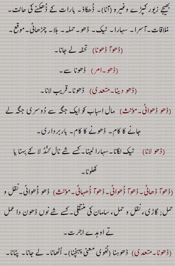  ڈھو ,رسائی۔ پہنچ۔ ستتھتی۔ حالت۔بھانا۔ قسط۔ موقع۔ڈھوآ۔ سبب۔ بدھ۔ بیاہ کی پہلی رات,ڈھب۔ طریقہ۔ ڈھنگ۔ سلیقہ۔ اوٹ۔ذریعہ۔ وسیلہ,سبب۔قسمت۔ نصیب۔ مقدر۔اپا۔ تدبیر۔ کوشش۔ جتن۔ قربت, نیڑتا۔چڑھاوا۔ نذرانہ۔ڈھکنے کا عمل یا حالت,ڈھو, سہارا۔ آسرا۔ ٹیک۔ڈھاسنا۔ پناہ۔ادھار۔کھیت میں کیارے ڈالنے والے جندرا کا ہتھا۔ لکڑی کی بڑی کریدنی ,پنجہ کا دستہ ,ڈھو ڈھب۔,   طور طریقہ سے۔سبب۔ سہارا۔ آسرا۔ وسیلہ,ڈھو ڈھکنا, بدھ ملنا ۔ سبب بننا۔ ٹل لگنا۔ اچھا موقعہ مل جانا۔ برات کا دلہن کے گھر پہنچنا۔موافق (موقع) ہونا۔ وقوع پذیر ہونا۔ موقع حاصل کرنا۔ڈھوہ,ڈھو ڈھکدا دسن,  کام سنورتا نظر آنا۔ گل بندی لگنا,ڈھو لگنا,  سبب بننا,ڈھو ملنا,  سبب ملنا۔ بدھ ملنا,ڈھو لبھن,    سہارا ڈھونڈنا۔ وسیلہ پیدا کرنا,ڈھو نال,  سبب سے۔ اتفاق سے,ڈھو بناونا)   آسرا بنانا۔ سبب بنانا۔ وسیلہ بنانا,ڈھو میلا,  سبب ۔ موقع۔ذریعہ,ڈھو نہ ڈھکن,   وسیلہ نہ بننا۔ سبب نہ بننا۔داہ نہ لگنا,ڈھو ڈھکدا دسن,   کم سنورتا نظر آنا۔ گل بندی لگنا,ڈھوآ,   بھینٹ۔چڑھاوا۔ نذرانہ۔ پیش کی ہوئی ڈالی۔ چھوٹوں کی برف سے بڑوں کو نذر کی ہوئی ڈالی (پھل۔ پھول)۔پھل پھول کا تحفہ جو کسی کمتر درجہ کے شخص کی طرف سے اپنے افسر کو بھیجا جائے ، ڈالی۔ سوغات۔ دلہن کے لیے بیاہ سے پہلے دلہا کی طرف سے بھیجے زیور کپڑے وغیرہ (آنا)۔ ڈھکاؤ,بارات کے ڈھکنے کی حالت۔ ملاقات۔آسرا۔ سہارا۔ ٹیک۔ ڈھو۔حملہ۔ ہلا۔ چڑھائی۔موقع,ڈھوآ ڈھونا,   تحفہ لے جانا,ڈھ, ڈھونا سے,ڈھو دینا, ڈھونا۔قریب لانا,ڈھو ڈھوائی,   مال اسباب کو ایک جگہ سے دوسری جگہ لے جانے کا کام۔ ڈھونے کا کام۔ باربرداری,ڈھو لانا,    ٹیک لگانا۔سہارا لینا۔کسے شے نال کنڈ لا کے بہنا یا  کھلونا,ڈھوآ ڈھائی۔ڈھوآ ڈھوائی۔ڈھوآ ڈھہائی,  ڈھو ڈھوائی۔نقل و حمل; گاڑی، نقل و حمل، سامان کی منتقلی۔کسے شے نوں ڈھون دا عمل تے اوہدے اجرت۔
 ڈھونا, ڈھوہنا , پہنچنا, اٹھانا۔ لے جانا۔ پٹانا۔ کسی منزل کے نزدیک لانا یا پہنچانا۔ وزن اٹھا کر ایک جگہ سے دوسری جگہ پہنچانا۔نقل و حمل۔ لے جانے۔ پہنچانے کے لئے۔ پیش کرنا۔ لانا۔ بھیڑنا۔ مندنا۔ مثلاً  دروازہ ڈھونا,ڈھووائی۔ڈھوائی,  ڈھووائی۔بوجھ لے جانے کی اجرت,ڈھوونا, ڈھونا,ڈھواؤنا۔ڈھوانا,   ڈھونا سے۔ ڈھونے کا کام کرنا۔ڈھوانا,ڈھوئی,  ڈھونے والا۔ مال اسباب لانے لے جانے والا۔ غلہ وغیرہ ڈھونے کا عمل,ڈھوئی,  رسائی۔ پہنچ۔ داخلہ۔پناہ,ڈھوئی دینی,   پناہ فراہم کرنا۔سہارا فراہم کرنا,ڈھوئی ملانی,  پناہ تلاش کرنا۔سہارا تلاش کرنا,ڈھوئی,اٹھا کر بوجھ لے گئی۔دخل۔ اوٹ۔ پناہ۔ آسرا۔ سہارا۔ قدر۔ جاننا۔ ملنا,ڈھوئے ہاں, قریب کئے گئے ہیں,ڈھویا,  ڈھونا سے۔ ڈھوٹھا,ڈھوہ,   سہارا۔ڈھو,ڈھوہ, پہنچ۔ڈھو۔دو مدعا علیہان کے لئے ایک مخصوص جگہ پر ملاقات کا وقت ٹھہرانا تاکہ ان کے تنازعہ کا فیصلہ کیا جاسکے,ڈھوہ جانا,  دو مدعا علیہان کے لئے مقرر کردہ جگہ پر جانا تاکہ ان کے تنازعہ کا فیصلہ کیا جاسکے,ڈھوہ لانا۔ڈھوہ لاؤنا,  دیوار یا کسی بھی چیز کا  سہارا ہونا,ڈھوہنا,  ڈھونا ,اٹھا کر لے جانا۔ہٹا دینا وغیرہ, ڈھوہنا,بھیڑنا۔ بند کرنا (دروازہ)۔ پاس لانا۔ قریب لانا۔ نزدیک آنے دینا,ڈھوہو, باربردار,ڈھوہے,  اٹھا کر لائے,ڈھوہسیاں, ڈھونا سے,ڈھوہیندا,ڈھوہنا سے,ڈھو,  ڈھونا سے۔ دھو,ڈھوونا,  دھونا۔ نہانا,ڈھو, ڈھونا سے,ڈھو, ڈھائی۔ اڑھائی,ڈھوگنا,ڈھائی گنا۔ ڈھونا,ڈھونا,  ڈھائی گنا۔ ڈھو گنا,ڈھونا,   ڈھائی (اڑھائی) کا پہاڑا,ڈھونا,  ڈھانا,ڈھو,  ڈھو,ڈھو۔ڈھوہ۔ڈھوہ,  ڈھوئیا۔ پٹھ۔ کنڈ,ڈھوہ کھلا کرنا۔ڈھوہا کھلا رکھنا, ساری واہ لانا۔ پوری ہمت خرچ کرنا,ڈھو گھٹنی,   تنگ پاجامہ۔ پد گھٹنی,ڈھوہ لانا,   پیٹھ لگانا۔ ہرانا,ڈھوہا,  ڈھوآ۔ چوتڑ۔ بنڈ۔ مقعد۔ پٹھ۔ کنڈ۔ ڈھو۔ کمر,ڈھوہی, ڈوہی۔ گدا۔ چوتڑ۔ دبر۔ پیٹھ۔ پٹھ۔ کنڈ,ڈھوہی ٹکنا, ڈھوہی ٹگنا۔ آرام تسلی سے بیٹھنا,ڈھوہی ٹگنا,  ڈھوہی ٹکنا,ڈھوہی دا ٹل/زور لانا,  پورا زور لگانا,ڈھوہی نہ لگنا,   ٹک کر نہ بیٹھنا,ڈھوئی,  ڈھوہی۔ڈھو۔ آسرا۔ ڈھوآ,ڈھوہ گھتنا,  کٹی ہوئی فصل کو گٹھڑیاں باندھ باندھ کر اٹھانا,ڈھوہ لوانی, سہارا دینا۔آرام کرنے کے لئے  تکیے وغیرہ دینا,ڈھوک, ڈھونے کا عمل۔بستی,ڈھوئی,ڈھوہی,ڈھوئی ترٹا,  ترک۔ لگڑ بگڑ۔لکڑ بھگا۔ بگڑ بگا۔ایک درندہ,ڈھوئی کھڑی کرنا,ڈھوہا کھلا کرنا,ڈھوئیا,  ڈھوآ۔سوغات۔ آسرا,ڈھویجنا,  ڈھوہنا سے,ڈھو ڈیونا,  وحشی جانوروں کی طرح چھپ رہنا,ڈھوآ,   کمر۔لک۔ڈھڈی۔ پٹھ۔ڈھوئی,ڈھوئیا۔ڈھوہا۔ چوتڑ۔ گانڈ۔ پیٹھ۔ کمر,ڈھوآ کھڑا کرنا,  انتہائی کوشش کرنا,ڈھوئی,   ٹھکانا۔ آسرا وغیرہ,ڈھوا, ڈھوانا سے,ڈھونا,  کسی چیز کو گرانا,ڈھوانا,  ڈھانا سے۔ڈھونا سے۔ ڈھوانا۔ کسی چیز کو گرانا,ڈھہاؤنا۔ڈھہاوانا,   کسی چیز کو گرانا۔,مسمار کرنا یا مٹانا۔ کسی کو کشتی میں شکست دینا یا حاصل کرنا,ڈھوائی,  ڈھاہنے کا کام یا اجرت۔ ڈھوائی,ڈھوا,  ڈھوانا سے,ڈھوانا,  ڈھونا سے۔ڈھونے کا کام کرنا۔ڈھا سے۔ ڈھوانا,ڈھوائی, ڈھلائی۔ڈھونے کا کام یا اجرت۔ ڈھوائی,ڈھوا,بہانہ۔ حیلہ,ڈھوا دھرنا,
Circumstance, event, case, incident; opportunity, chance, accident; lot; the handle of a large wooden rake ('jaNdra'); an imperative of  'DhoNa'.,Dho Dena,  To bring near, to bring.,Dho Dhukkna, To be favourable (opportunity), to occur, to chance. Also see 'Dhoh'.,Dho,  Imperative form of 'Dhona', carry, transport.,Dhoa,  Co-incidence, chance, opportunity.,Dhoa,  Same as 'Dho' , back-rest.,Dhoa dhukana, Dhoa lagna,  Co-incidence to occur, for a chance to offer itself.,Dhoa,Present, offering.,dhoa dhuai,   Transportation; carriage, conveyance, shifting of goods.,dhoa dhona, To carry and make a present.,Dhoh,   A support. rest; approach; an appointment for two litigants to meet at a certain place to have their dispute adjudicated upon.,Dhoh jaana,   To go to the place appointed for two litigants to have their dispute adjudicated upon.,Dhoh launa, To have support (of a wall or anything), to rest.,Dhahauna, Dhawauna,   To cause or get something demolished, razed or erased, to cause or get someone defeated in wrestling.,Dhoi,    Refuge, shelter, asylum.,Dhoi deni,   To provide refuge.,Dhoi milani,  To find refuge.,Dhoh,    Back-rest, rest, buttress shore, prop.,Dhoh deni,   To provide prop., to buttress.,Dho launi,   To recline on a rest (as on a pillow), to rest, against back-rest.,Dhok,  Same as 'jhok' hamlet.,Dhona,   To transport, carry, convey; to close, shut (door, etc.).
Dho,ਢੋਅ, ਢੋਅ,ਢੋਹ ,  ਢੋਅ ਢੁਕਣਾ, ਢੋਅ ਲੱਗਣਾ, ਢੋਆ,ਢੋਆ ਢੁਆਈ , ਢੋਆ ਢੋਣਾ,ਢੋਹ, ਢਵਾਉਣਾ ,ਢੋਈ , ਢੋਈ ਦੇਣੀ,ਢੋਈ ਮਿਲ਼ਨੀ, ਢੋਹ, ਢੋਹ ਦੇਣੀ,ਢੋਹ ਲਾਉਣੀ,ਢੋਕ,ਝੋਕ,ਢੋਣਾ, ਢੋ,ਝੋਕ, 