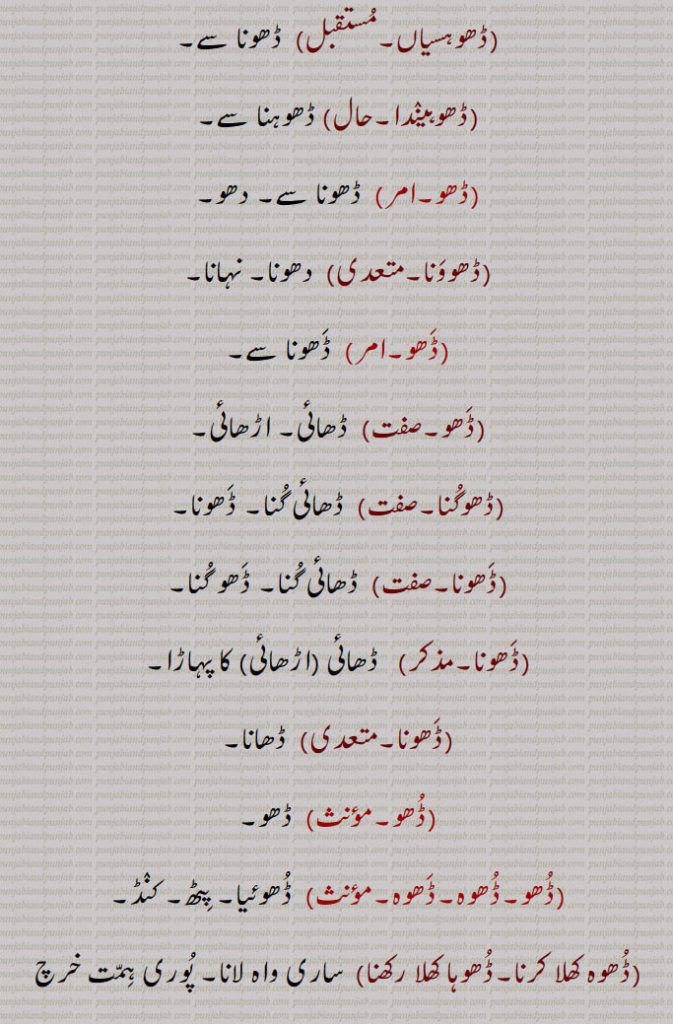  ڈھو ,رسائی۔ پہنچ۔ ستتھتی۔ حالت۔بھانا۔ قسط۔ موقع۔ڈھوآ۔ سبب۔ بدھ۔ بیاہ کی پہلی رات,ڈھب۔ طریقہ۔ ڈھنگ۔ سلیقہ۔ اوٹ۔ذریعہ۔ وسیلہ,سبب۔قسمت۔ نصیب۔ مقدر۔اپا۔ تدبیر۔ کوشش۔ جتن۔ قربت, نیڑتا۔چڑھاوا۔ نذرانہ۔ڈھکنے کا عمل یا حالت,ڈھو, سہارا۔ آسرا۔ ٹیک۔ڈھاسنا۔ پناہ۔ادھار۔کھیت میں کیارے ڈالنے والے جندرا کا ہتھا۔ لکڑی کی بڑی کریدنی ,پنجہ کا دستہ ,ڈھو ڈھب۔,   طور طریقہ سے۔سبب۔ سہارا۔ آسرا۔ وسیلہ,ڈھو ڈھکنا, بدھ ملنا ۔ سبب بننا۔ ٹل لگنا۔ اچھا موقعہ مل جانا۔ برات کا دلہن کے گھر پہنچنا۔موافق (موقع) ہونا۔ وقوع پذیر ہونا۔ موقع حاصل کرنا۔ڈھوہ,ڈھو ڈھکدا دسن,  کام سنورتا نظر آنا۔ گل بندی لگنا,ڈھو لگنا,  سبب بننا,ڈھو ملنا,  سبب ملنا۔ بدھ ملنا,ڈھو لبھن,    سہارا ڈھونڈنا۔ وسیلہ پیدا کرنا,ڈھو نال,  سبب سے۔ اتفاق سے,ڈھو بناونا)   آسرا بنانا۔ سبب بنانا۔ وسیلہ بنانا,ڈھو میلا,  سبب ۔ موقع۔ذریعہ,ڈھو نہ ڈھکن,   وسیلہ نہ بننا۔ سبب نہ بننا۔داہ نہ لگنا,ڈھو ڈھکدا دسن,   کم سنورتا نظر آنا۔ گل بندی لگنا,ڈھوآ,   بھینٹ۔چڑھاوا۔ نذرانہ۔ پیش کی ہوئی ڈالی۔ چھوٹوں کی برف سے بڑوں کو نذر کی ہوئی ڈالی (پھل۔ پھول)۔پھل پھول کا تحفہ جو کسی کمتر درجہ کے شخص کی طرف سے اپنے افسر کو بھیجا جائے ، ڈالی۔ سوغات۔ دلہن کے لیے بیاہ سے پہلے دلہا کی طرف سے بھیجے زیور کپڑے وغیرہ (آنا)۔ ڈھکاؤ,بارات کے ڈھکنے کی حالت۔ ملاقات۔آسرا۔ سہارا۔ ٹیک۔ ڈھو۔حملہ۔ ہلا۔ چڑھائی۔موقع,ڈھوآ ڈھونا,   تحفہ لے جانا,ڈھ, ڈھونا سے,ڈھو دینا, ڈھونا۔قریب لانا,ڈھو ڈھوائی,   مال اسباب کو ایک جگہ سے دوسری جگہ لے جانے کا کام۔ ڈھونے کا کام۔ باربرداری,ڈھو لانا,    ٹیک لگانا۔سہارا لینا۔کسے شے نال کنڈ لا کے بہنا یا  کھلونا,ڈھوآ ڈھائی۔ڈھوآ ڈھوائی۔ڈھوآ ڈھہائی,  ڈھو ڈھوائی۔نقل و حمل; گاڑی، نقل و حمل، سامان کی منتقلی۔کسے شے نوں ڈھون دا عمل تے اوہدے اجرت۔
 ڈھونا, ڈھوہنا , پہنچنا, اٹھانا۔ لے جانا۔ پٹانا۔ کسی منزل کے نزدیک لانا یا پہنچانا۔ وزن اٹھا کر ایک جگہ سے دوسری جگہ پہنچانا۔نقل و حمل۔ لے جانے۔ پہنچانے کے لئے۔ پیش کرنا۔ لانا۔ بھیڑنا۔ مندنا۔ مثلاً  دروازہ ڈھونا,ڈھووائی۔ڈھوائی,  ڈھووائی۔بوجھ لے جانے کی اجرت,ڈھوونا, ڈھونا,ڈھواؤنا۔ڈھوانا,   ڈھونا سے۔ ڈھونے کا کام کرنا۔ڈھوانا,ڈھوئی,  ڈھونے والا۔ مال اسباب لانے لے جانے والا۔ غلہ وغیرہ ڈھونے کا عمل,ڈھوئی,  رسائی۔ پہنچ۔ داخلہ۔پناہ,ڈھوئی دینی,   پناہ فراہم کرنا۔سہارا فراہم کرنا,ڈھوئی ملانی,  پناہ تلاش کرنا۔سہارا تلاش کرنا,ڈھوئی,اٹھا کر بوجھ لے گئی۔دخل۔ اوٹ۔ پناہ۔ آسرا۔ سہارا۔ قدر۔ جاننا۔ ملنا,ڈھوئے ہاں, قریب کئے گئے ہیں,ڈھویا,  ڈھونا سے۔ ڈھوٹھا,ڈھوہ,   سہارا۔ڈھو,ڈھوہ, پہنچ۔ڈھو۔دو مدعا علیہان کے لئے ایک مخصوص جگہ پر ملاقات کا وقت ٹھہرانا تاکہ ان کے تنازعہ کا فیصلہ کیا جاسکے,ڈھوہ جانا,  دو مدعا علیہان کے لئے مقرر کردہ جگہ پر جانا تاکہ ان کے تنازعہ کا فیصلہ کیا جاسکے,ڈھوہ لانا۔ڈھوہ لاؤنا,  دیوار یا کسی بھی چیز کا  سہارا ہونا,ڈھوہنا,  ڈھونا ,اٹھا کر لے جانا۔ہٹا دینا وغیرہ, ڈھوہنا,بھیڑنا۔ بند کرنا (دروازہ)۔ پاس لانا۔ قریب لانا۔ نزدیک آنے دینا,ڈھوہو, باربردار,ڈھوہے,  اٹھا کر لائے,ڈھوہسیاں, ڈھونا سے,ڈھوہیندا,ڈھوہنا سے,ڈھو,  ڈھونا سے۔ دھو,ڈھوونا,  دھونا۔ نہانا,ڈھو, ڈھونا سے,ڈھو, ڈھائی۔ اڑھائی,ڈھوگنا,ڈھائی گنا۔ ڈھونا,ڈھونا,  ڈھائی گنا۔ ڈھو گنا,ڈھونا,   ڈھائی (اڑھائی) کا پہاڑا,ڈھونا,  ڈھانا,ڈھو,  ڈھو,ڈھو۔ڈھوہ۔ڈھوہ,  ڈھوئیا۔ پٹھ۔ کنڈ,ڈھوہ کھلا کرنا۔ڈھوہا کھلا رکھنا, ساری واہ لانا۔ پوری ہمت خرچ کرنا,ڈھو گھٹنی,   تنگ پاجامہ۔ پد گھٹنی,ڈھوہ لانا,   پیٹھ لگانا۔ ہرانا,ڈھوہا,  ڈھوآ۔ چوتڑ۔ بنڈ۔ مقعد۔ پٹھ۔ کنڈ۔ ڈھو۔ کمر,ڈھوہی, ڈوہی۔ گدا۔ چوتڑ۔ دبر۔ پیٹھ۔ پٹھ۔ کنڈ,ڈھوہی ٹکنا, ڈھوہی ٹگنا۔ آرام تسلی سے بیٹھنا,ڈھوہی ٹگنا,  ڈھوہی ٹکنا,ڈھوہی دا ٹل/زور لانا,  پورا زور لگانا,ڈھوہی نہ لگنا,   ٹک کر نہ بیٹھنا,ڈھوئی,  ڈھوہی۔ڈھو۔ آسرا۔ ڈھوآ,ڈھوہ گھتنا,  کٹی ہوئی فصل کو گٹھڑیاں باندھ باندھ کر اٹھانا,ڈھوہ لوانی, سہارا دینا۔آرام کرنے کے لئے  تکیے وغیرہ دینا,ڈھوک, ڈھونے کا عمل۔بستی,ڈھوئی,ڈھوہی,ڈھوئی ترٹا,  ترک۔ لگڑ بگڑ۔لکڑ بھگا۔ بگڑ بگا۔ایک درندہ,ڈھوئی کھڑی کرنا,ڈھوہا کھلا کرنا,ڈھوئیا,  ڈھوآ۔سوغات۔ آسرا,ڈھویجنا,  ڈھوہنا سے,ڈھو ڈیونا,  وحشی جانوروں کی طرح چھپ رہنا,ڈھوآ,   کمر۔لک۔ڈھڈی۔ پٹھ۔ڈھوئی,ڈھوئیا۔ڈھوہا۔ چوتڑ۔ گانڈ۔ پیٹھ۔ کمر,ڈھوآ کھڑا کرنا,  انتہائی کوشش کرنا,ڈھوئی,   ٹھکانا۔ آسرا وغیرہ,ڈھوا, ڈھوانا سے,ڈھونا,  کسی چیز کو گرانا,ڈھوانا,  ڈھانا سے۔ڈھونا سے۔ ڈھوانا۔ کسی چیز کو گرانا,ڈھہاؤنا۔ڈھہاوانا,   کسی چیز کو گرانا۔,مسمار کرنا یا مٹانا۔ کسی کو کشتی میں شکست دینا یا حاصل کرنا,ڈھوائی,  ڈھاہنے کا کام یا اجرت۔ ڈھوائی,ڈھوا,  ڈھوانا سے,ڈھوانا,  ڈھونا سے۔ڈھونے کا کام کرنا۔ڈھا سے۔ ڈھوانا,ڈھوائی, ڈھلائی۔ڈھونے کا کام یا اجرت۔ ڈھوائی,ڈھوا,بہانہ۔ حیلہ,ڈھوا دھرنا,
Circumstance, event, case, incident; opportunity, chance, accident; lot; the handle of a large wooden rake ('jaNdra'); an imperative of  'DhoNa'.,Dho Dena,  To bring near, to bring.,Dho Dhukkna, To be favourable (opportunity), to occur, to chance. Also see 'Dhoh'.,Dho,  Imperative form of 'Dhona', carry, transport.,Dhoa,  Co-incidence, chance, opportunity.,Dhoa,  Same as 'Dho' , back-rest.,Dhoa dhukana, Dhoa lagna,  Co-incidence to occur, for a chance to offer itself.,Dhoa,Present, offering.,dhoa dhuai,   Transportation; carriage, conveyance, shifting of goods.,dhoa dhona, To carry and make a present.,Dhoh,   A support. rest; approach; an appointment for two litigants to meet at a certain place to have their dispute adjudicated upon.,Dhoh jaana,   To go to the place appointed for two litigants to have their dispute adjudicated upon.,Dhoh launa, To have support (of a wall or anything), to rest.,Dhahauna, Dhawauna,   To cause or get something demolished, razed or erased, to cause or get someone defeated in wrestling.,Dhoi,    Refuge, shelter, asylum.,Dhoi deni,   To provide refuge.,Dhoi milani,  To find refuge.,Dhoh,    Back-rest, rest, buttress shore, prop.,Dhoh deni,   To provide prop., to buttress.,Dho launi,   To recline on a rest (as on a pillow), to rest, against back-rest.,Dhok,  Same as 'jhok' hamlet.,Dhona,   To transport, carry, convey; to close, shut (door, etc.).
Dho,ਢੋਅ, ਢੋਅ,ਢੋਹ ,  ਢੋਅ ਢੁਕਣਾ, ਢੋਅ ਲੱਗਣਾ, ਢੋਆ,ਢੋਆ ਢੁਆਈ , ਢੋਆ ਢੋਣਾ,ਢੋਹ, ਢਵਾਉਣਾ ,ਢੋਈ , ਢੋਈ ਦੇਣੀ,ਢੋਈ ਮਿਲ਼ਨੀ, ਢੋਹ, ਢੋਹ ਦੇਣੀ,ਢੋਹ ਲਾਉਣੀ,ਢੋਕ,ਝੋਕ,ਢੋਣਾ, ਢੋ,ਝੋਕ, 