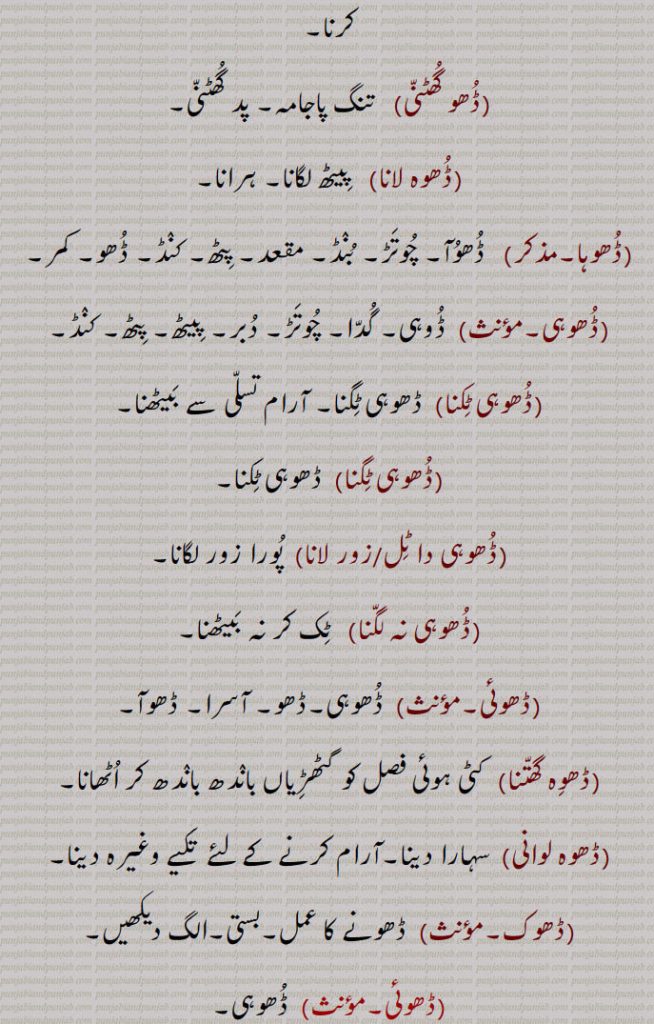  ڈھو ,رسائی۔ پہنچ۔ ستتھتی۔ حالت۔بھانا۔ قسط۔ موقع۔ڈھوآ۔ سبب۔ بدھ۔ بیاہ کی پہلی رات,ڈھب۔ طریقہ۔ ڈھنگ۔ سلیقہ۔ اوٹ۔ذریعہ۔ وسیلہ,سبب۔قسمت۔ نصیب۔ مقدر۔اپا۔ تدبیر۔ کوشش۔ جتن۔ قربت, نیڑتا۔چڑھاوا۔ نذرانہ۔ڈھکنے کا عمل یا حالت,ڈھو, سہارا۔ آسرا۔ ٹیک۔ڈھاسنا۔ پناہ۔ادھار۔کھیت میں کیارے ڈالنے والے جندرا کا ہتھا۔ لکڑی کی بڑی کریدنی ,پنجہ کا دستہ ,ڈھو ڈھب۔,   طور طریقہ سے۔سبب۔ سہارا۔ آسرا۔ وسیلہ,ڈھو ڈھکنا, بدھ ملنا ۔ سبب بننا۔ ٹل لگنا۔ اچھا موقعہ مل جانا۔ برات کا دلہن کے گھر پہنچنا۔موافق (موقع) ہونا۔ وقوع پذیر ہونا۔ موقع حاصل کرنا۔ڈھوہ,ڈھو ڈھکدا دسن,  کام سنورتا نظر آنا۔ گل بندی لگنا,ڈھو لگنا,  سبب بننا,ڈھو ملنا,  سبب ملنا۔ بدھ ملنا,ڈھو لبھن,    سہارا ڈھونڈنا۔ وسیلہ پیدا کرنا,ڈھو نال,  سبب سے۔ اتفاق سے,ڈھو بناونا)   آسرا بنانا۔ سبب بنانا۔ وسیلہ بنانا,ڈھو میلا,  سبب ۔ موقع۔ذریعہ,ڈھو نہ ڈھکن,   وسیلہ نہ بننا۔ سبب نہ بننا۔داہ نہ لگنا,ڈھو ڈھکدا دسن,   کم سنورتا نظر آنا۔ گل بندی لگنا,ڈھوآ,   بھینٹ۔چڑھاوا۔ نذرانہ۔ پیش کی ہوئی ڈالی۔ چھوٹوں کی برف سے بڑوں کو نذر کی ہوئی ڈالی (پھل۔ پھول)۔پھل پھول کا تحفہ جو کسی کمتر درجہ کے شخص کی طرف سے اپنے افسر کو بھیجا جائے ، ڈالی۔ سوغات۔ دلہن کے لیے بیاہ سے پہلے دلہا کی طرف سے بھیجے زیور کپڑے وغیرہ (آنا)۔ ڈھکاؤ,بارات کے ڈھکنے کی حالت۔ ملاقات۔آسرا۔ سہارا۔ ٹیک۔ ڈھو۔حملہ۔ ہلا۔ چڑھائی۔موقع,ڈھوآ ڈھونا,   تحفہ لے جانا,ڈھ, ڈھونا سے,ڈھو دینا, ڈھونا۔قریب لانا,ڈھو ڈھوائی,   مال اسباب کو ایک جگہ سے دوسری جگہ لے جانے کا کام۔ ڈھونے کا کام۔ باربرداری,ڈھو لانا,    ٹیک لگانا۔سہارا لینا۔کسے شے نال کنڈ لا کے بہنا یا  کھلونا,ڈھوآ ڈھائی۔ڈھوآ ڈھوائی۔ڈھوآ ڈھہائی,  ڈھو ڈھوائی۔نقل و حمل; گاڑی، نقل و حمل، سامان کی منتقلی۔کسے شے نوں ڈھون دا عمل تے اوہدے اجرت۔
 ڈھونا, ڈھوہنا , پہنچنا, اٹھانا۔ لے جانا۔ پٹانا۔ کسی منزل کے نزدیک لانا یا پہنچانا۔ وزن اٹھا کر ایک جگہ سے دوسری جگہ پہنچانا۔نقل و حمل۔ لے جانے۔ پہنچانے کے لئے۔ پیش کرنا۔ لانا۔ بھیڑنا۔ مندنا۔ مثلاً  دروازہ ڈھونا,ڈھووائی۔ڈھوائی,  ڈھووائی۔بوجھ لے جانے کی اجرت,ڈھوونا, ڈھونا,ڈھواؤنا۔ڈھوانا,   ڈھونا سے۔ ڈھونے کا کام کرنا۔ڈھوانا,ڈھوئی,  ڈھونے والا۔ مال اسباب لانے لے جانے والا۔ غلہ وغیرہ ڈھونے کا عمل,ڈھوئی,  رسائی۔ پہنچ۔ داخلہ۔پناہ,ڈھوئی دینی,   پناہ فراہم کرنا۔سہارا فراہم کرنا,ڈھوئی ملانی,  پناہ تلاش کرنا۔سہارا تلاش کرنا,ڈھوئی,اٹھا کر بوجھ لے گئی۔دخل۔ اوٹ۔ پناہ۔ آسرا۔ سہارا۔ قدر۔ جاننا۔ ملنا,ڈھوئے ہاں, قریب کئے گئے ہیں,ڈھویا,  ڈھونا سے۔ ڈھوٹھا,ڈھوہ,   سہارا۔ڈھو,ڈھوہ, پہنچ۔ڈھو۔دو مدعا علیہان کے لئے ایک مخصوص جگہ پر ملاقات کا وقت ٹھہرانا تاکہ ان کے تنازعہ کا فیصلہ کیا جاسکے,ڈھوہ جانا,  دو مدعا علیہان کے لئے مقرر کردہ جگہ پر جانا تاکہ ان کے تنازعہ کا فیصلہ کیا جاسکے,ڈھوہ لانا۔ڈھوہ لاؤنا,  دیوار یا کسی بھی چیز کا  سہارا ہونا,ڈھوہنا,  ڈھونا ,اٹھا کر لے جانا۔ہٹا دینا وغیرہ, ڈھوہنا,بھیڑنا۔ بند کرنا (دروازہ)۔ پاس لانا۔ قریب لانا۔ نزدیک آنے دینا,ڈھوہو, باربردار,ڈھوہے,  اٹھا کر لائے,ڈھوہسیاں, ڈھونا سے,ڈھوہیندا,ڈھوہنا سے,ڈھو,  ڈھونا سے۔ دھو,ڈھوونا,  دھونا۔ نہانا,ڈھو, ڈھونا سے,ڈھو, ڈھائی۔ اڑھائی,ڈھوگنا,ڈھائی گنا۔ ڈھونا,ڈھونا,  ڈھائی گنا۔ ڈھو گنا,ڈھونا,   ڈھائی (اڑھائی) کا پہاڑا,ڈھونا,  ڈھانا,ڈھو,  ڈھو,ڈھو۔ڈھوہ۔ڈھوہ,  ڈھوئیا۔ پٹھ۔ کنڈ,ڈھوہ کھلا کرنا۔ڈھوہا کھلا رکھنا, ساری واہ لانا۔ پوری ہمت خرچ کرنا,ڈھو گھٹنی,   تنگ پاجامہ۔ پد گھٹنی,ڈھوہ لانا,   پیٹھ لگانا۔ ہرانا,ڈھوہا,  ڈھوآ۔ چوتڑ۔ بنڈ۔ مقعد۔ پٹھ۔ کنڈ۔ ڈھو۔ کمر,ڈھوہی, ڈوہی۔ گدا۔ چوتڑ۔ دبر۔ پیٹھ۔ پٹھ۔ کنڈ,ڈھوہی ٹکنا, ڈھوہی ٹگنا۔ آرام تسلی سے بیٹھنا,ڈھوہی ٹگنا,  ڈھوہی ٹکنا,ڈھوہی دا ٹل/زور لانا,  پورا زور لگانا,ڈھوہی نہ لگنا,   ٹک کر نہ بیٹھنا,ڈھوئی,  ڈھوہی۔ڈھو۔ آسرا۔ ڈھوآ,ڈھوہ گھتنا,  کٹی ہوئی فصل کو گٹھڑیاں باندھ باندھ کر اٹھانا,ڈھوہ لوانی, سہارا دینا۔آرام کرنے کے لئے  تکیے وغیرہ دینا,ڈھوک, ڈھونے کا عمل۔بستی,ڈھوئی,ڈھوہی,ڈھوئی ترٹا,  ترک۔ لگڑ بگڑ۔لکڑ بھگا۔ بگڑ بگا۔ایک درندہ,ڈھوئی کھڑی کرنا,ڈھوہا کھلا کرنا,ڈھوئیا,  ڈھوآ۔سوغات۔ آسرا,ڈھویجنا,  ڈھوہنا سے,ڈھو ڈیونا,  وحشی جانوروں کی طرح چھپ رہنا,ڈھوآ,   کمر۔لک۔ڈھڈی۔ پٹھ۔ڈھوئی,ڈھوئیا۔ڈھوہا۔ چوتڑ۔ گانڈ۔ پیٹھ۔ کمر,ڈھوآ کھڑا کرنا,  انتہائی کوشش کرنا,ڈھوئی,   ٹھکانا۔ آسرا وغیرہ,ڈھوا, ڈھوانا سے,ڈھونا,  کسی چیز کو گرانا,ڈھوانا,  ڈھانا سے۔ڈھونا سے۔ ڈھوانا۔ کسی چیز کو گرانا,ڈھہاؤنا۔ڈھہاوانا,   کسی چیز کو گرانا۔,مسمار کرنا یا مٹانا۔ کسی کو کشتی میں شکست دینا یا حاصل کرنا,ڈھوائی,  ڈھاہنے کا کام یا اجرت۔ ڈھوائی,ڈھوا,  ڈھوانا سے,ڈھوانا,  ڈھونا سے۔ڈھونے کا کام کرنا۔ڈھا سے۔ ڈھوانا,ڈھوائی, ڈھلائی۔ڈھونے کا کام یا اجرت۔ ڈھوائی,ڈھوا,بہانہ۔ حیلہ,ڈھوا دھرنا,
Circumstance, event, case, incident; opportunity, chance, accident; lot; the handle of a large wooden rake ('jaNdra'); an imperative of  'DhoNa'.,Dho Dena,  To bring near, to bring.,Dho Dhukkna, To be favourable (opportunity), to occur, to chance. Also see 'Dhoh'.,Dho,  Imperative form of 'Dhona', carry, transport.,Dhoa,  Co-incidence, chance, opportunity.,Dhoa,  Same as 'Dho' , back-rest.,Dhoa dhukana, Dhoa lagna,  Co-incidence to occur, for a chance to offer itself.,Dhoa,Present, offering.,dhoa dhuai,   Transportation; carriage, conveyance, shifting of goods.,dhoa dhona, To carry and make a present.,Dhoh,   A support. rest; approach; an appointment for two litigants to meet at a certain place to have their dispute adjudicated upon.,Dhoh jaana,   To go to the place appointed for two litigants to have their dispute adjudicated upon.,Dhoh launa, To have support (of a wall or anything), to rest.,Dhahauna, Dhawauna,   To cause or get something demolished, razed or erased, to cause or get someone defeated in wrestling.,Dhoi,    Refuge, shelter, asylum.,Dhoi deni,   To provide refuge.,Dhoi milani,  To find refuge.,Dhoh,    Back-rest, rest, buttress shore, prop.,Dhoh deni,   To provide prop., to buttress.,Dho launi,   To recline on a rest (as on a pillow), to rest, against back-rest.,Dhok,  Same as 'jhok' hamlet.,Dhona,   To transport, carry, convey; to close, shut (door, etc.).
Dho,ਢੋਅ, ਢੋਅ,ਢੋਹ ,  ਢੋਅ ਢੁਕਣਾ, ਢੋਅ ਲੱਗਣਾ, ਢੋਆ,ਢੋਆ ਢੁਆਈ , ਢੋਆ ਢੋਣਾ,ਢੋਹ, ਢਵਾਉਣਾ ,ਢੋਈ , ਢੋਈ ਦੇਣੀ,ਢੋਈ ਮਿਲ਼ਨੀ, ਢੋਹ, ਢੋਹ ਦੇਣੀ,ਢੋਹ ਲਾਉਣੀ,ਢੋਕ,ਝੋਕ,ਢੋਣਾ, ਢੋ,ਝੋਕ, 