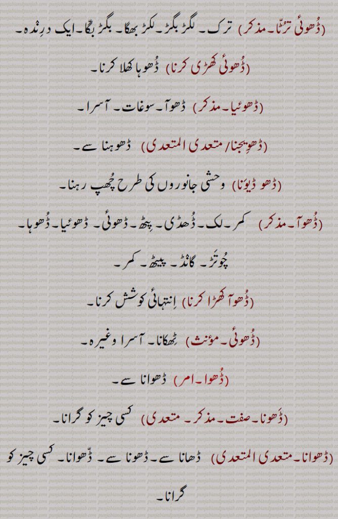  ڈھو ,رسائی۔ پہنچ۔ ستتھتی۔ حالت۔بھانا۔ قسط۔ موقع۔ڈھوآ۔ سبب۔ بدھ۔ بیاہ کی پہلی رات,ڈھب۔ طریقہ۔ ڈھنگ۔ سلیقہ۔ اوٹ۔ذریعہ۔ وسیلہ,سبب۔قسمت۔ نصیب۔ مقدر۔اپا۔ تدبیر۔ کوشش۔ جتن۔ قربت, نیڑتا۔چڑھاوا۔ نذرانہ۔ڈھکنے کا عمل یا حالت,ڈھو, سہارا۔ آسرا۔ ٹیک۔ڈھاسنا۔ پناہ۔ادھار۔کھیت میں کیارے ڈالنے والے جندرا کا ہتھا۔ لکڑی کی بڑی کریدنی ,پنجہ کا دستہ ,ڈھو ڈھب۔,   طور طریقہ سے۔سبب۔ سہارا۔ آسرا۔ وسیلہ,ڈھو ڈھکنا, بدھ ملنا ۔ سبب بننا۔ ٹل لگنا۔ اچھا موقعہ مل جانا۔ برات کا دلہن کے گھر پہنچنا۔موافق (موقع) ہونا۔ وقوع پذیر ہونا۔ موقع حاصل کرنا۔ڈھوہ,ڈھو ڈھکدا دسن,  کام سنورتا نظر آنا۔ گل بندی لگنا,ڈھو لگنا,  سبب بننا,ڈھو ملنا,  سبب ملنا۔ بدھ ملنا,ڈھو لبھن,    سہارا ڈھونڈنا۔ وسیلہ پیدا کرنا,ڈھو نال,  سبب سے۔ اتفاق سے,ڈھو بناونا)   آسرا بنانا۔ سبب بنانا۔ وسیلہ بنانا,ڈھو میلا,  سبب ۔ موقع۔ذریعہ,ڈھو نہ ڈھکن,   وسیلہ نہ بننا۔ سبب نہ بننا۔داہ نہ لگنا,ڈھو ڈھکدا دسن,   کم سنورتا نظر آنا۔ گل بندی لگنا,ڈھوآ,   بھینٹ۔چڑھاوا۔ نذرانہ۔ پیش کی ہوئی ڈالی۔ چھوٹوں کی برف سے بڑوں کو نذر کی ہوئی ڈالی (پھل۔ پھول)۔پھل پھول کا تحفہ جو کسی کمتر درجہ کے شخص کی طرف سے اپنے افسر کو بھیجا جائے ، ڈالی۔ سوغات۔ دلہن کے لیے بیاہ سے پہلے دلہا کی طرف سے بھیجے زیور کپڑے وغیرہ (آنا)۔ ڈھکاؤ,بارات کے ڈھکنے کی حالت۔ ملاقات۔آسرا۔ سہارا۔ ٹیک۔ ڈھو۔حملہ۔ ہلا۔ چڑھائی۔موقع,ڈھوآ ڈھونا,   تحفہ لے جانا,ڈھ, ڈھونا سے,ڈھو دینا, ڈھونا۔قریب لانا,ڈھو ڈھوائی,   مال اسباب کو ایک جگہ سے دوسری جگہ لے جانے کا کام۔ ڈھونے کا کام۔ باربرداری,ڈھو لانا,    ٹیک لگانا۔سہارا لینا۔کسے شے نال کنڈ لا کے بہنا یا  کھلونا,ڈھوآ ڈھائی۔ڈھوآ ڈھوائی۔ڈھوآ ڈھہائی,  ڈھو ڈھوائی۔نقل و حمل; گاڑی، نقل و حمل، سامان کی منتقلی۔کسے شے نوں ڈھون دا عمل تے اوہدے اجرت۔
 ڈھونا, ڈھوہنا , پہنچنا, اٹھانا۔ لے جانا۔ پٹانا۔ کسی منزل کے نزدیک لانا یا پہنچانا۔ وزن اٹھا کر ایک جگہ سے دوسری جگہ پہنچانا۔نقل و حمل۔ لے جانے۔ پہنچانے کے لئے۔ پیش کرنا۔ لانا۔ بھیڑنا۔ مندنا۔ مثلاً  دروازہ ڈھونا,ڈھووائی۔ڈھوائی,  ڈھووائی۔بوجھ لے جانے کی اجرت,ڈھوونا, ڈھونا,ڈھواؤنا۔ڈھوانا,   ڈھونا سے۔ ڈھونے کا کام کرنا۔ڈھوانا,ڈھوئی,  ڈھونے والا۔ مال اسباب لانے لے جانے والا۔ غلہ وغیرہ ڈھونے کا عمل,ڈھوئی,  رسائی۔ پہنچ۔ داخلہ۔پناہ,ڈھوئی دینی,   پناہ فراہم کرنا۔سہارا فراہم کرنا,ڈھوئی ملانی,  پناہ تلاش کرنا۔سہارا تلاش کرنا,ڈھوئی,اٹھا کر بوجھ لے گئی۔دخل۔ اوٹ۔ پناہ۔ آسرا۔ سہارا۔ قدر۔ جاننا۔ ملنا,ڈھوئے ہاں, قریب کئے گئے ہیں,ڈھویا,  ڈھونا سے۔ ڈھوٹھا,ڈھوہ,   سہارا۔ڈھو,ڈھوہ, پہنچ۔ڈھو۔دو مدعا علیہان کے لئے ایک مخصوص جگہ پر ملاقات کا وقت ٹھہرانا تاکہ ان کے تنازعہ کا فیصلہ کیا جاسکے,ڈھوہ جانا,  دو مدعا علیہان کے لئے مقرر کردہ جگہ پر جانا تاکہ ان کے تنازعہ کا فیصلہ کیا جاسکے,ڈھوہ لانا۔ڈھوہ لاؤنا,  دیوار یا کسی بھی چیز کا  سہارا ہونا,ڈھوہنا,  ڈھونا ,اٹھا کر لے جانا۔ہٹا دینا وغیرہ, ڈھوہنا,بھیڑنا۔ بند کرنا (دروازہ)۔ پاس لانا۔ قریب لانا۔ نزدیک آنے دینا,ڈھوہو, باربردار,ڈھوہے,  اٹھا کر لائے,ڈھوہسیاں, ڈھونا سے,ڈھوہیندا,ڈھوہنا سے,ڈھو,  ڈھونا سے۔ دھو,ڈھوونا,  دھونا۔ نہانا,ڈھو, ڈھونا سے,ڈھو, ڈھائی۔ اڑھائی,ڈھوگنا,ڈھائی گنا۔ ڈھونا,ڈھونا,  ڈھائی گنا۔ ڈھو گنا,ڈھونا,   ڈھائی (اڑھائی) کا پہاڑا,ڈھونا,  ڈھانا,ڈھو,  ڈھو,ڈھو۔ڈھوہ۔ڈھوہ,  ڈھوئیا۔ پٹھ۔ کنڈ,ڈھوہ کھلا کرنا۔ڈھوہا کھلا رکھنا, ساری واہ لانا۔ پوری ہمت خرچ کرنا,ڈھو گھٹنی,   تنگ پاجامہ۔ پد گھٹنی,ڈھوہ لانا,   پیٹھ لگانا۔ ہرانا,ڈھوہا,  ڈھوآ۔ چوتڑ۔ بنڈ۔ مقعد۔ پٹھ۔ کنڈ۔ ڈھو۔ کمر,ڈھوہی, ڈوہی۔ گدا۔ چوتڑ۔ دبر۔ پیٹھ۔ پٹھ۔ کنڈ,ڈھوہی ٹکنا, ڈھوہی ٹگنا۔ آرام تسلی سے بیٹھنا,ڈھوہی ٹگنا,  ڈھوہی ٹکنا,ڈھوہی دا ٹل/زور لانا,  پورا زور لگانا,ڈھوہی نہ لگنا,   ٹک کر نہ بیٹھنا,ڈھوئی,  ڈھوہی۔ڈھو۔ آسرا۔ ڈھوآ,ڈھوہ گھتنا,  کٹی ہوئی فصل کو گٹھڑیاں باندھ باندھ کر اٹھانا,ڈھوہ لوانی, سہارا دینا۔آرام کرنے کے لئے  تکیے وغیرہ دینا,ڈھوک, ڈھونے کا عمل۔بستی,ڈھوئی,ڈھوہی,ڈھوئی ترٹا,  ترک۔ لگڑ بگڑ۔لکڑ بھگا۔ بگڑ بگا۔ایک درندہ,ڈھوئی کھڑی کرنا,ڈھوہا کھلا کرنا,ڈھوئیا,  ڈھوآ۔سوغات۔ آسرا,ڈھویجنا,  ڈھوہنا سے,ڈھو ڈیونا,  وحشی جانوروں کی طرح چھپ رہنا,ڈھوآ,   کمر۔لک۔ڈھڈی۔ پٹھ۔ڈھوئی,ڈھوئیا۔ڈھوہا۔ چوتڑ۔ گانڈ۔ پیٹھ۔ کمر,ڈھوآ کھڑا کرنا,  انتہائی کوشش کرنا,ڈھوئی,   ٹھکانا۔ آسرا وغیرہ,ڈھوا, ڈھوانا سے,ڈھونا,  کسی چیز کو گرانا,ڈھوانا,  ڈھانا سے۔ڈھونا سے۔ ڈھوانا۔ کسی چیز کو گرانا,ڈھہاؤنا۔ڈھہاوانا,   کسی چیز کو گرانا۔,مسمار کرنا یا مٹانا۔ کسی کو کشتی میں شکست دینا یا حاصل کرنا,ڈھوائی,  ڈھاہنے کا کام یا اجرت۔ ڈھوائی,ڈھوا,  ڈھوانا سے,ڈھوانا,  ڈھونا سے۔ڈھونے کا کام کرنا۔ڈھا سے۔ ڈھوانا,ڈھوائی, ڈھلائی۔ڈھونے کا کام یا اجرت۔ ڈھوائی,ڈھوا,بہانہ۔ حیلہ,ڈھوا دھرنا,
Circumstance, event, case, incident; opportunity, chance, accident; lot; the handle of a large wooden rake ('jaNdra'); an imperative of  'DhoNa'.,Dho Dena,  To bring near, to bring.,Dho Dhukkna, To be favourable (opportunity), to occur, to chance. Also see 'Dhoh'.,Dho,  Imperative form of 'Dhona', carry, transport.,Dhoa,  Co-incidence, chance, opportunity.,Dhoa,  Same as 'Dho' , back-rest.,Dhoa dhukana, Dhoa lagna,  Co-incidence to occur, for a chance to offer itself.,Dhoa,Present, offering.,dhoa dhuai,   Transportation; carriage, conveyance, shifting of goods.,dhoa dhona, To carry and make a present.,Dhoh,   A support. rest; approach; an appointment for two litigants to meet at a certain place to have their dispute adjudicated upon.,Dhoh jaana,   To go to the place appointed for two litigants to have their dispute adjudicated upon.,Dhoh launa, To have support (of a wall or anything), to rest.,Dhahauna, Dhawauna,   To cause or get something demolished, razed or erased, to cause or get someone defeated in wrestling.,Dhoi,    Refuge, shelter, asylum.,Dhoi deni,   To provide refuge.,Dhoi milani,  To find refuge.,Dhoh,    Back-rest, rest, buttress shore, prop.,Dhoh deni,   To provide prop., to buttress.,Dho launi,   To recline on a rest (as on a pillow), to rest, against back-rest.,Dhok,  Same as 'jhok' hamlet.,Dhona,   To transport, carry, convey; to close, shut (door, etc.).
Dho,ਢੋਅ, ਢੋਅ,ਢੋਹ ,  ਢੋਅ ਢੁਕਣਾ, ਢੋਅ ਲੱਗਣਾ, ਢੋਆ,ਢੋਆ ਢੁਆਈ , ਢੋਆ ਢੋਣਾ,ਢੋਹ, ਢਵਾਉਣਾ ,ਢੋਈ , ਢੋਈ ਦੇਣੀ,ਢੋਈ ਮਿਲ਼ਨੀ, ਢੋਹ, ਢੋਹ ਦੇਣੀ,ਢੋਹ ਲਾਉਣੀ,ਢੋਕ,ਝੋਕ,ਢੋਣਾ, ਢੋ,ਝੋਕ, 