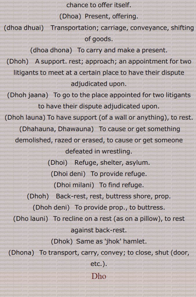  ڈھو ,رسائی۔ پہنچ۔ ستتھتی۔ حالت۔بھانا۔ قسط۔ موقع۔ڈھوآ۔ سبب۔ بدھ۔ بیاہ کی پہلی رات,ڈھب۔ طریقہ۔ ڈھنگ۔ سلیقہ۔ اوٹ۔ذریعہ۔ وسیلہ,سبب۔قسمت۔ نصیب۔ مقدر۔اپا۔ تدبیر۔ کوشش۔ جتن۔ قربت, نیڑتا۔چڑھاوا۔ نذرانہ۔ڈھکنے کا عمل یا حالت,ڈھو, سہارا۔ آسرا۔ ٹیک۔ڈھاسنا۔ پناہ۔ادھار۔کھیت میں کیارے ڈالنے والے جندرا کا ہتھا۔ لکڑی کی بڑی کریدنی ,پنجہ کا دستہ ,ڈھو ڈھب۔,   طور طریقہ سے۔سبب۔ سہارا۔ آسرا۔ وسیلہ,ڈھو ڈھکنا, بدھ ملنا ۔ سبب بننا۔ ٹل لگنا۔ اچھا موقعہ مل جانا۔ برات کا دلہن کے گھر پہنچنا۔موافق (موقع) ہونا۔ وقوع پذیر ہونا۔ موقع حاصل کرنا۔ڈھوہ,ڈھو ڈھکدا دسن,  کام سنورتا نظر آنا۔ گل بندی لگنا,ڈھو لگنا,  سبب بننا,ڈھو ملنا,  سبب ملنا۔ بدھ ملنا,ڈھو لبھن,    سہارا ڈھونڈنا۔ وسیلہ پیدا کرنا,ڈھو نال,  سبب سے۔ اتفاق سے,ڈھو بناونا)   آسرا بنانا۔ سبب بنانا۔ وسیلہ بنانا,ڈھو میلا,  سبب ۔ موقع۔ذریعہ,ڈھو نہ ڈھکن,   وسیلہ نہ بننا۔ سبب نہ بننا۔داہ نہ لگنا,ڈھو ڈھکدا دسن,   کم سنورتا نظر آنا۔ گل بندی لگنا,ڈھوآ,   بھینٹ۔چڑھاوا۔ نذرانہ۔ پیش کی ہوئی ڈالی۔ چھوٹوں کی برف سے بڑوں کو نذر کی ہوئی ڈالی (پھل۔ پھول)۔پھل پھول کا تحفہ جو کسی کمتر درجہ کے شخص کی طرف سے اپنے افسر کو بھیجا جائے ، ڈالی۔ سوغات۔ دلہن کے لیے بیاہ سے پہلے دلہا کی طرف سے بھیجے زیور کپڑے وغیرہ (آنا)۔ ڈھکاؤ,بارات کے ڈھکنے کی حالت۔ ملاقات۔آسرا۔ سہارا۔ ٹیک۔ ڈھو۔حملہ۔ ہلا۔ چڑھائی۔موقع,ڈھوآ ڈھونا,   تحفہ لے جانا,ڈھ, ڈھونا سے,ڈھو دینا, ڈھونا۔قریب لانا,ڈھو ڈھوائی,   مال اسباب کو ایک جگہ سے دوسری جگہ لے جانے کا کام۔ ڈھونے کا کام۔ باربرداری,ڈھو لانا,    ٹیک لگانا۔سہارا لینا۔کسے شے نال کنڈ لا کے بہنا یا  کھلونا,ڈھوآ ڈھائی۔ڈھوآ ڈھوائی۔ڈھوآ ڈھہائی,  ڈھو ڈھوائی۔نقل و حمل; گاڑی، نقل و حمل، سامان کی منتقلی۔کسے شے نوں ڈھون دا عمل تے اوہدے اجرت۔
 ڈھونا, ڈھوہنا , پہنچنا, اٹھانا۔ لے جانا۔ پٹانا۔ کسی منزل کے نزدیک لانا یا پہنچانا۔ وزن اٹھا کر ایک جگہ سے دوسری جگہ پہنچانا۔نقل و حمل۔ لے جانے۔ پہنچانے کے لئے۔ پیش کرنا۔ لانا۔ بھیڑنا۔ مندنا۔ مثلاً  دروازہ ڈھونا,ڈھووائی۔ڈھوائی,  ڈھووائی۔بوجھ لے جانے کی اجرت,ڈھوونا, ڈھونا,ڈھواؤنا۔ڈھوانا,   ڈھونا سے۔ ڈھونے کا کام کرنا۔ڈھوانا,ڈھوئی,  ڈھونے والا۔ مال اسباب لانے لے جانے والا۔ غلہ وغیرہ ڈھونے کا عمل,ڈھوئی,  رسائی۔ پہنچ۔ داخلہ۔پناہ,ڈھوئی دینی,   پناہ فراہم کرنا۔سہارا فراہم کرنا,ڈھوئی ملانی,  پناہ تلاش کرنا۔سہارا تلاش کرنا,ڈھوئی,اٹھا کر بوجھ لے گئی۔دخل۔ اوٹ۔ پناہ۔ آسرا۔ سہارا۔ قدر۔ جاننا۔ ملنا,ڈھوئے ہاں, قریب کئے گئے ہیں,ڈھویا,  ڈھونا سے۔ ڈھوٹھا,ڈھوہ,   سہارا۔ڈھو,ڈھوہ, پہنچ۔ڈھو۔دو مدعا علیہان کے لئے ایک مخصوص جگہ پر ملاقات کا وقت ٹھہرانا تاکہ ان کے تنازعہ کا فیصلہ کیا جاسکے,ڈھوہ جانا,  دو مدعا علیہان کے لئے مقرر کردہ جگہ پر جانا تاکہ ان کے تنازعہ کا فیصلہ کیا جاسکے,ڈھوہ لانا۔ڈھوہ لاؤنا,  دیوار یا کسی بھی چیز کا  سہارا ہونا,ڈھوہنا,  ڈھونا ,اٹھا کر لے جانا۔ہٹا دینا وغیرہ, ڈھوہنا,بھیڑنا۔ بند کرنا (دروازہ)۔ پاس لانا۔ قریب لانا۔ نزدیک آنے دینا,ڈھوہو, باربردار,ڈھوہے,  اٹھا کر لائے,ڈھوہسیاں, ڈھونا سے,ڈھوہیندا,ڈھوہنا سے,ڈھو,  ڈھونا سے۔ دھو,ڈھوونا,  دھونا۔ نہانا,ڈھو, ڈھونا سے,ڈھو, ڈھائی۔ اڑھائی,ڈھوگنا,ڈھائی گنا۔ ڈھونا,ڈھونا,  ڈھائی گنا۔ ڈھو گنا,ڈھونا,   ڈھائی (اڑھائی) کا پہاڑا,ڈھونا,  ڈھانا,ڈھو,  ڈھو,ڈھو۔ڈھوہ۔ڈھوہ,  ڈھوئیا۔ پٹھ۔ کنڈ,ڈھوہ کھلا کرنا۔ڈھوہا کھلا رکھنا, ساری واہ لانا۔ پوری ہمت خرچ کرنا,ڈھو گھٹنی,   تنگ پاجامہ۔ پد گھٹنی,ڈھوہ لانا,   پیٹھ لگانا۔ ہرانا,ڈھوہا,  ڈھوآ۔ چوتڑ۔ بنڈ۔ مقعد۔ پٹھ۔ کنڈ۔ ڈھو۔ کمر,ڈھوہی, ڈوہی۔ گدا۔ چوتڑ۔ دبر۔ پیٹھ۔ پٹھ۔ کنڈ,ڈھوہی ٹکنا, ڈھوہی ٹگنا۔ آرام تسلی سے بیٹھنا,ڈھوہی ٹگنا,  ڈھوہی ٹکنا,ڈھوہی دا ٹل/زور لانا,  پورا زور لگانا,ڈھوہی نہ لگنا,   ٹک کر نہ بیٹھنا,ڈھوئی,  ڈھوہی۔ڈھو۔ آسرا۔ ڈھوآ,ڈھوہ گھتنا,  کٹی ہوئی فصل کو گٹھڑیاں باندھ باندھ کر اٹھانا,ڈھوہ لوانی, سہارا دینا۔آرام کرنے کے لئے  تکیے وغیرہ دینا,ڈھوک, ڈھونے کا عمل۔بستی,ڈھوئی,ڈھوہی,ڈھوئی ترٹا,  ترک۔ لگڑ بگڑ۔لکڑ بھگا۔ بگڑ بگا۔ایک درندہ,ڈھوئی کھڑی کرنا,ڈھوہا کھلا کرنا,ڈھوئیا,  ڈھوآ۔سوغات۔ آسرا,ڈھویجنا,  ڈھوہنا سے,ڈھو ڈیونا,  وحشی جانوروں کی طرح چھپ رہنا,ڈھوآ,   کمر۔لک۔ڈھڈی۔ پٹھ۔ڈھوئی,ڈھوئیا۔ڈھوہا۔ چوتڑ۔ گانڈ۔ پیٹھ۔ کمر,ڈھوآ کھڑا کرنا,  انتہائی کوشش کرنا,ڈھوئی,   ٹھکانا۔ آسرا وغیرہ,ڈھوا, ڈھوانا سے,ڈھونا,  کسی چیز کو گرانا,ڈھوانا,  ڈھانا سے۔ڈھونا سے۔ ڈھوانا۔ کسی چیز کو گرانا,ڈھہاؤنا۔ڈھہاوانا,   کسی چیز کو گرانا۔,مسمار کرنا یا مٹانا۔ کسی کو کشتی میں شکست دینا یا حاصل کرنا,ڈھوائی,  ڈھاہنے کا کام یا اجرت۔ ڈھوائی,ڈھوا,  ڈھوانا سے,ڈھوانا,  ڈھونا سے۔ڈھونے کا کام کرنا۔ڈھا سے۔ ڈھوانا,ڈھوائی, ڈھلائی۔ڈھونے کا کام یا اجرت۔ ڈھوائی,ڈھوا,بہانہ۔ حیلہ,ڈھوا دھرنا,
Circumstance, event, case, incident; opportunity, chance, accident; lot; the handle of a large wooden rake ('jaNdra'); an imperative of  'DhoNa'.,Dho Dena,  To bring near, to bring.,Dho Dhukkna, To be favourable (opportunity), to occur, to chance. Also see 'Dhoh'.,Dho,  Imperative form of 'Dhona', carry, transport.,Dhoa,  Co-incidence, chance, opportunity.,Dhoa,  Same as 'Dho' , back-rest.,Dhoa dhukana, Dhoa lagna,  Co-incidence to occur, for a chance to offer itself.,Dhoa,Present, offering.,dhoa dhuai,   Transportation; carriage, conveyance, shifting of goods.,dhoa dhona, To carry and make a present.,Dhoh,   A support. rest; approach; an appointment for two litigants to meet at a certain place to have their dispute adjudicated upon.,Dhoh jaana,   To go to the place appointed for two litigants to have their dispute adjudicated upon.,Dhoh launa, To have support (of a wall or anything), to rest.,Dhahauna, Dhawauna,   To cause or get something demolished, razed or erased, to cause or get someone defeated in wrestling.,Dhoi,    Refuge, shelter, asylum.,Dhoi deni,   To provide refuge.,Dhoi milani,  To find refuge.,Dhoh,    Back-rest, rest, buttress shore, prop.,Dhoh deni,   To provide prop., to buttress.,Dho launi,   To recline on a rest (as on a pillow), to rest, against back-rest.,Dhok,  Same as 'jhok' hamlet.,Dhona,   To transport, carry, convey; to close, shut (door, etc.).
Dho,ਢੋਅ, ਢੋਅ,ਢੋਹ ,  ਢੋਅ ਢੁਕਣਾ, ਢੋਅ ਲੱਗਣਾ, ਢੋਆ,ਢੋਆ ਢੁਆਈ , ਢੋਆ ਢੋਣਾ,ਢੋਹ, ਢਵਾਉਣਾ ,ਢੋਈ , ਢੋਈ ਦੇਣੀ,ਢੋਈ ਮਿਲ਼ਨੀ, ਢੋਹ, ਢੋਹ ਦੇਣੀ,ਢੋਹ ਲਾਉਣੀ,ਢੋਕ,ਝੋਕ,ਢੋਣਾ, ਢੋ,ਝੋਕ, 