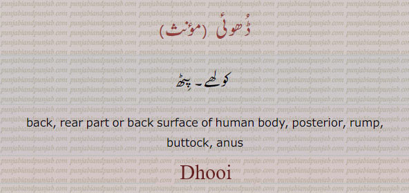  Dhoi,Dhoee, ਢੂਈ,back. rear part or back surface of human body. posterior. rup. buttock. anus. ڈھوئی۔ کولھے۔ پیٹھ۔ پٹھ۔پٹ 