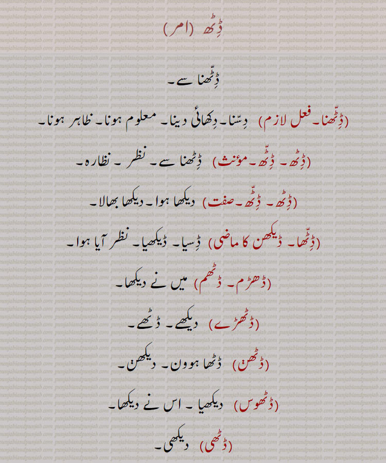 
ڈٹھ  , ,ڈٹھنا سے۔,ڈٹھنا۔,  دسنا۔دکھائی دینا۔ معلوم ہونا۔ ظاہر ہونا۔,ڈٹھ۔ ڈٹھ۔,,   ڈٹھنا سے۔ نظر ۔
 نظارہ۔,ڈٹھ۔ ڈٹھ۔,,  دیکھا ہوا۔دیکھا بھالا۔,ڈٹھا۔ ڈیکھن ,,  ڈسیا۔ ڈیکھیا۔ نظر آیا ہوا۔
,ڈھڑم۔ ڈٹھم,  میں نے دیکھا۔,ڈٹھڑے,   دیکھے۔ ڈٹھے۔
,ڈٹھن,   ڈٹھا ہوون۔ دیکھن۔ڈٹھوس,   دیکھیا ۔ اس نے دیکھا۔,ڈٹھی,   دیکھی۔
,ڈٹھیاں,  دیکھیاں,ڈٹھنا، ,,    چٹھ۔ڈٹھ بند,   نظر بند کرنے والا جادوگر۔
,ڈٹھ ونٹھ,   دیکھا داکھی۔ڈٹھا سنیا۔ ,,   جانا ہچانا۔,ڈٹھا بھالیا,   تولیا تکیا۔ جچا تلا۔ڈٹھا ویسی,   دیکھا جائے گا۔,ڈٹھرا۔ ڈٹھڑا۔ ماضی,   ڈٹھا ,ڈٹھو سے  ,  ہم نے دیکھا۔
,ڈٹھیا بھار لہنا ,واٹھیا,,  جانا بوجھا۔ دیکھیا جانیا۔,ڈٹھیا بھکھ لہنا,  بہت خوبصورت ہونا۔
To see; To know, DiTh, ਡਿੱਠ  