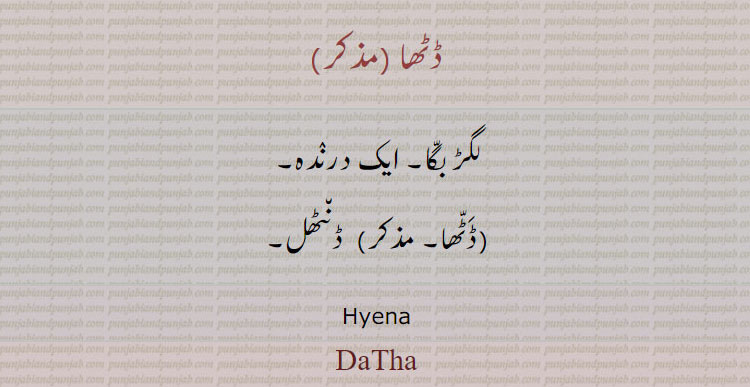 ڈٹھا  ,لگڑ بگا,ایک درندہ,ڈٹھا,  ڈنٹھل۔
Hyena,DaTha, ਡਠਾ, ਡੱਠਾ, ਡੰਠਲ਼ 