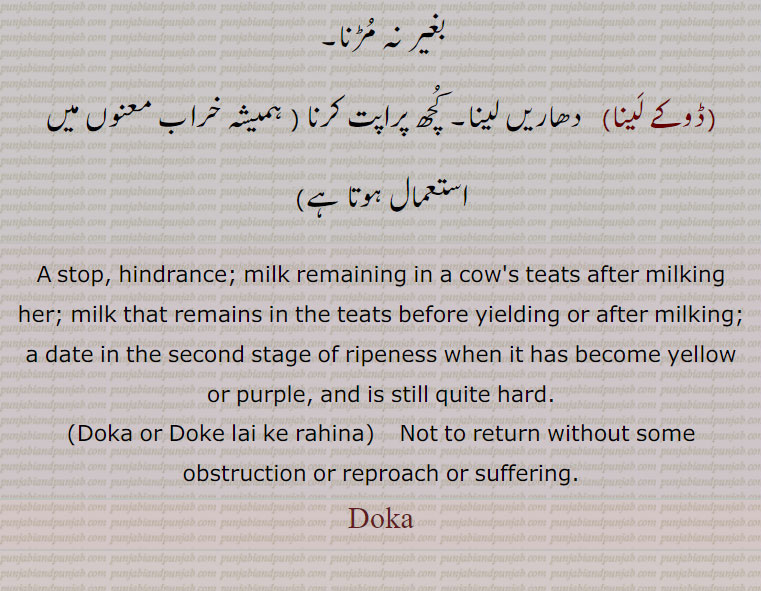 ڈوکا, سخت ہو,ڈکنا۔ روک۔ اٹکاؤ, دودھ دوہنے کے بعد جو دودھ کے آخری قطرے یا وہ دودھ جو گائے یا بھینس کے تھنوں میں رہ جائے ۔ تھن میں سے نکلے دودھ کی دھار۔ مویشی کے گربھ دھارنے کا سما, ڈوکا پینا,   دھار نکالنے کے بعد تھنوں میں پھر دودھ آنا,ڈوکا چنگھنا, دھاریں لینا,ڈوکا ڈوکا چونا, چو لینا,   کسی سے کوئی اچھی طرح پورا فائدہ اٹھا لینا,ڈوکا کرنا, گائے بحینس کے آس ہونے کے دنوں میں پسمیا جیسا رہنا,ڈوکا۔ ڈوکے,  لے کے رہنا۔ اپمان کرا کر ٹلنا۔ روک یا جھڑک یا اوکھ بغیر نہ مڑنا,ڈوکے لینا,   دھاریں لینا۔ کچھ پراپت کرنا,A stop, hindrance; milk remaining in a cow's teats after milking her; milk that remains in the teats before yielding or after milking; a date in the second stage of ripeness when it has become yellow or purple, and is still quite hard.,Doka or Doke lai ke rahina,    Not to return without some obstruction or reproach or suffering. Doka ,ਡੋਕਾ, 
