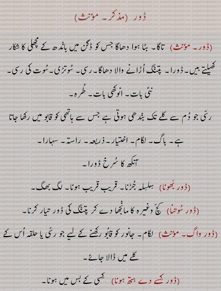 ڈور  , تاگا, بٹا ہوا دھاگا جس کو ڈگن میں باندھ کے مچھلی کا شکار کھیلتے ہیں,ڈورا, پتنگ اڑانے والا, دھاگا,رسی, سوتڑی,سوت کی رسی, نئی بات, انوکھی بات, طرہ,رسی جو دم سے گلے تک بندھی ہوتی ہے جس سے ہاتھی کو قابو میں رکھا جاتا ہے, باگ, لگام, اختیار,ذریعہ,راستہ, سہارا, آنکھ کا سرخ ڈورا, ڈور بھونا,   سلسلہ جڑنا, قریب قریب ہونا, لگ بھگ,ڈور سوتنا,   کچ وغیرہ کا مانجھا دے کر پتنگ کی ڈور تیار کرنا, ڈور واگ, لگام, جانور کو قابو رکھنے کے لیے جو رسی یا حلقہ اس کے گلے میں ڈالا جائے, ڈور کسے دے ہتھ ہونا,  کسی کے بس میں ہونا, ڈورا,  دھاگا, رسی, سوتلی, دوتہی، کھیس وغیرہ کے پلو  یا کنارے پر چلائی ہوئی تانت, کھیس کا حاشیہ, وہ پراندی جو دلہن بیاہ سمے پہنتی ہے,آنکھ کی بہت باریک نس جو نشہ، غصہ یا نیند سے جاگتے وقت دکھائی دیتی ہے, کاجل یا سرمہ کی دھار, حلوائی کا بڑا پلا، ڈوہرا, خشکہ پر گھی جو ڈالا جاتا ہے, ڈورا دینا, چاولوں وغیرہ پر گرم گھی کی تھوڑی مقدار کی دھار ڈالنا، خصوصاً خشکہ چاولوں یا زردہ کو دودھ کا ڈورا اس لیے دیتے ہیں تا کہ چاول گل جائیں، اور کنی نہ رہے, ڈوری,  رسی, سوتلی, پتلی لج, پراندی, آسن, لگن, پریت,, تلا کی ڈور جو کنٹھا، گانی میں ڈالتے ہیں, فیتہ, قیطون, ڈوری ابھرنا,   پرسدھی ہونا, شہرت ہونا,ڈوری پھراہنا,  کنوئیں میں لج  گرانا, ڈوری چھڈنا، کسے تے,   کسی پر نربھر ہونا, ڈوری رکھنا، کسے تے,    کسی کا بھروسہ تکنا,ڈوری کھلی چھڈنا, کھلی چھٹی دینا,ڈورے پانا,  بس میں کرنے کا جتن کرنا, عشق میں پھنسانے کی کوشش کرنا,ڈوریا, ایک قسم کا باریک ڈور دار کپڑا,ململ جیسا باریک کپڑا, کتے رکھنے والا, کتوں کو پالنے والا, کتوں کا نگہبان, Dor,  A string of kite, cord, string, stiffened thread,  leash, thong, line , figurative usage relation, trust, confidence, dependence ,Dora,  A line, a cord, a thread, a string; an ornament worn by the bride at weddings; a ladle; strings , twisted , a red line in the eye , Deaf; string, cord; fringe on the end of sheet, blanket, etc.; fine veinous redness in sleepy eyes; string of bubbles on the surface of liquor, Dora dena,  To pour ghee on food, Dore paine,   To have red lines into the eyes, Dori,   A string, a cord, a rope, lace, braid; an ornament worn by the bride at a wedding; hope, trust, belief, faith, Doreea,  Striped cotton cloth; a dog-keeper; a fine variety of gauzy cloth., Dor, ਡੋਰ, ਡੋਰੀ,  ਡੋਰੀਆ