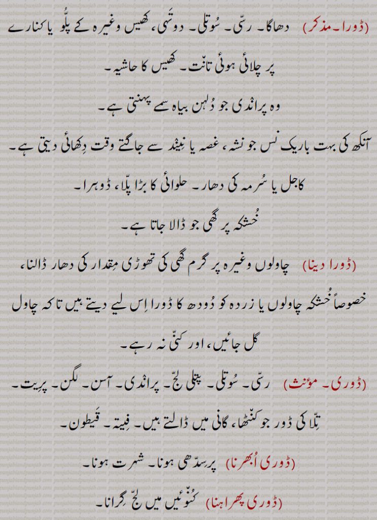 ڈور  , تاگا, بٹا ہوا دھاگا جس کو ڈگن میں باندھ کے مچھلی کا شکار کھیلتے ہیں,ڈورا, پتنگ اڑانے والا, دھاگا,رسی, سوتڑی,سوت کی رسی, نئی بات, انوکھی بات, طرہ,رسی جو دم سے گلے تک بندھی ہوتی ہے جس سے ہاتھی کو قابو میں رکھا جاتا ہے, باگ, لگام, اختیار,ذریعہ,راستہ, سہارا, آنکھ کا سرخ ڈورا, ڈور بھونا,   سلسلہ جڑنا, قریب قریب ہونا, لگ بھگ,ڈور سوتنا,   کچ وغیرہ کا مانجھا دے کر پتنگ کی ڈور تیار کرنا, ڈور واگ, لگام, جانور کو قابو رکھنے کے لیے جو رسی یا حلقہ اس کے گلے میں ڈالا جائے, ڈور کسے دے ہتھ ہونا,  کسی کے بس میں ہونا, ڈورا,  دھاگا, رسی, سوتلی, دوتہی، کھیس وغیرہ کے پلو  یا کنارے پر چلائی ہوئی تانت, کھیس کا حاشیہ, وہ پراندی جو دلہن بیاہ سمے پہنتی ہے,آنکھ کی بہت باریک نس جو نشہ، غصہ یا نیند سے جاگتے وقت دکھائی دیتی ہے, کاجل یا سرمہ کی دھار, حلوائی کا بڑا پلا، ڈوہرا, خشکہ پر گھی جو ڈالا جاتا ہے, ڈورا دینا, چاولوں وغیرہ پر گرم گھی کی تھوڑی مقدار کی دھار ڈالنا، خصوصاً خشکہ چاولوں یا زردہ کو دودھ کا ڈورا اس لیے دیتے ہیں تا کہ چاول گل جائیں، اور کنی نہ رہے, ڈوری,  رسی, سوتلی, پتلی لج, پراندی, آسن, لگن, پریت,, تلا کی ڈور جو کنٹھا، گانی میں ڈالتے ہیں, فیتہ, قیطون, ڈوری ابھرنا,   پرسدھی ہونا, شہرت ہونا,ڈوری پھراہنا,  کنوئیں میں لج  گرانا, ڈوری چھڈنا، کسے تے,   کسی پر نربھر ہونا, ڈوری رکھنا، کسے تے,    کسی کا بھروسہ تکنا,ڈوری کھلی چھڈنا, کھلی چھٹی دینا,ڈورے پانا,  بس میں کرنے کا جتن کرنا, عشق میں پھنسانے کی کوشش کرنا,ڈوریا, ایک قسم کا باریک ڈور دار کپڑا,ململ جیسا باریک کپڑا, کتے رکھنے والا, کتوں کو پالنے والا, کتوں کا نگہبان, Dor,  A string of kite, cord, string, stiffened thread,  leash, thong, line , figurative usage relation, trust, confidence, dependence ,Dora,  A line, a cord, a thread, a string; an ornament worn by the bride at weddings; a ladle; strings , twisted , a red line in the eye , Deaf; string, cord; fringe on the end of sheet, blanket, etc.; fine veinous redness in sleepy eyes; string of bubbles on the surface of liquor, Dora dena,  To pour ghee on food, Dore paine,   To have red lines into the eyes, Dori,   A string, a cord, a rope, lace, braid; an ornament worn by the bride at a wedding; hope, trust, belief, faith, Doreea,  Striped cotton cloth; a dog-keeper; a fine variety of gauzy cloth., Dor, ਡੋਰ