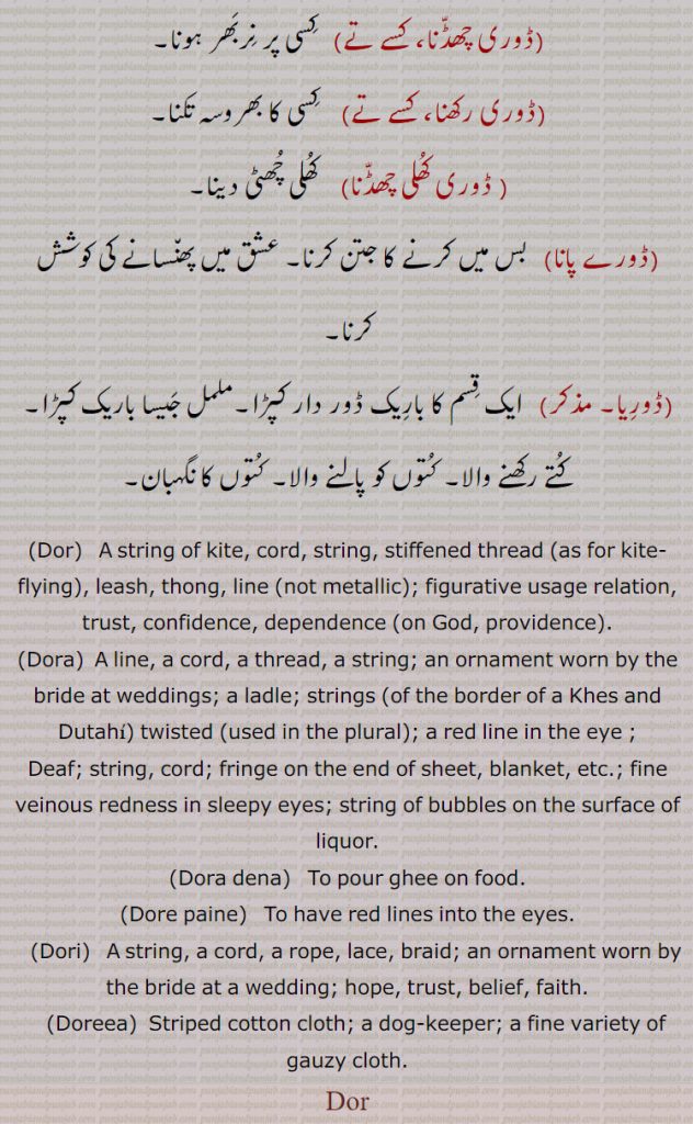 ڈور  , تاگا, بٹا ہوا دھاگا جس کو ڈگن میں باندھ کے مچھلی کا شکار کھیلتے ہیں,ڈورا, پتنگ اڑانے والا, دھاگا,رسی, سوتڑی,سوت کی رسی, نئی بات, انوکھی بات, طرہ,رسی جو دم سے گلے تک بندھی ہوتی ہے جس سے ہاتھی کو قابو میں رکھا جاتا ہے, باگ, لگام, اختیار,ذریعہ,راستہ, سہارا, آنکھ کا سرخ ڈورا, ڈور بھونا,   سلسلہ جڑنا, قریب قریب ہونا, لگ بھگ,ڈور سوتنا,   کچ وغیرہ کا مانجھا دے کر پتنگ کی ڈور تیار کرنا, ڈور واگ, لگام, جانور کو قابو رکھنے کے لیے جو رسی یا حلقہ اس کے گلے میں ڈالا جائے, ڈور کسے دے ہتھ ہونا,  کسی کے بس میں ہونا, ڈورا,  دھاگا, رسی, سوتلی, دوتہی، کھیس وغیرہ کے پلو  یا کنارے پر چلائی ہوئی تانت, کھیس کا حاشیہ, وہ پراندی جو دلہن بیاہ سمے پہنتی ہے,آنکھ کی بہت باریک نس جو نشہ، غصہ یا نیند سے جاگتے وقت دکھائی دیتی ہے, کاجل یا سرمہ کی دھار, حلوائی کا بڑا پلا، ڈوہرا, خشکہ پر گھی جو ڈالا جاتا ہے, ڈورا دینا, چاولوں وغیرہ پر گرم گھی کی تھوڑی مقدار کی دھار ڈالنا، خصوصاً خشکہ چاولوں یا زردہ کو دودھ کا ڈورا اس لیے دیتے ہیں تا کہ چاول گل جائیں، اور کنی نہ رہے, ڈوری,  رسی, سوتلی, پتلی لج, پراندی, آسن, لگن, پریت,, تلا کی ڈور جو کنٹھا، گانی میں ڈالتے ہیں, فیتہ, قیطون, ڈوری ابھرنا,   پرسدھی ہونا, شہرت ہونا,ڈوری پھراہنا,  کنوئیں میں لج  گرانا, ڈوری چھڈنا، کسے تے,   کسی پر نربھر ہونا, ڈوری رکھنا، کسے تے,    کسی کا بھروسہ تکنا,ڈوری کھلی چھڈنا, کھلی چھٹی دینا,ڈورے پانا,  بس میں کرنے کا جتن کرنا, عشق میں پھنسانے کی کوشش کرنا,ڈوریا, ایک قسم کا باریک ڈور دار کپڑا,ململ جیسا باریک کپڑا, کتے رکھنے والا, کتوں کو پالنے والا, کتوں کا نگہبان, Dor,  A string of kite, cord, string, stiffened thread,  leash, thong, line , figurative usage relation, trust, confidence, dependence ,Dora,  A line, a cord, a thread, a string; an ornament worn by the bride at weddings; a ladle; strings , twisted , a red line in the eye , Deaf; string, cord; fringe on the end of sheet, blanket, etc.; fine veinous redness in sleepy eyes; string of bubbles on the surface of liquor, Dora dena,  To pour ghee on food, Dore paine,   To have red lines into the eyes, Dori,   A string, a cord, a rope, lace, braid; an ornament worn by the bride at a wedding; hope, trust, belief, faith, Doreea,  Striped cotton cloth; a dog-keeper; a fine variety of gauzy cloth., Dor, ਡੋਰ