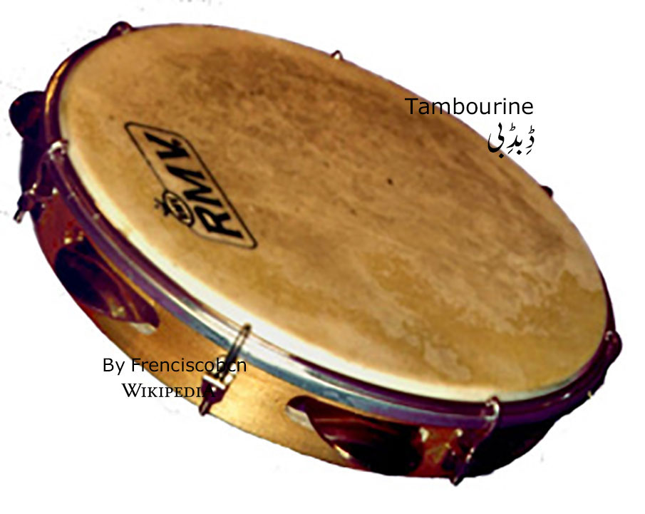  ڈب,   ,Dibb , ਡਿੱਬ ,Dib ,ਡਿਬ, 