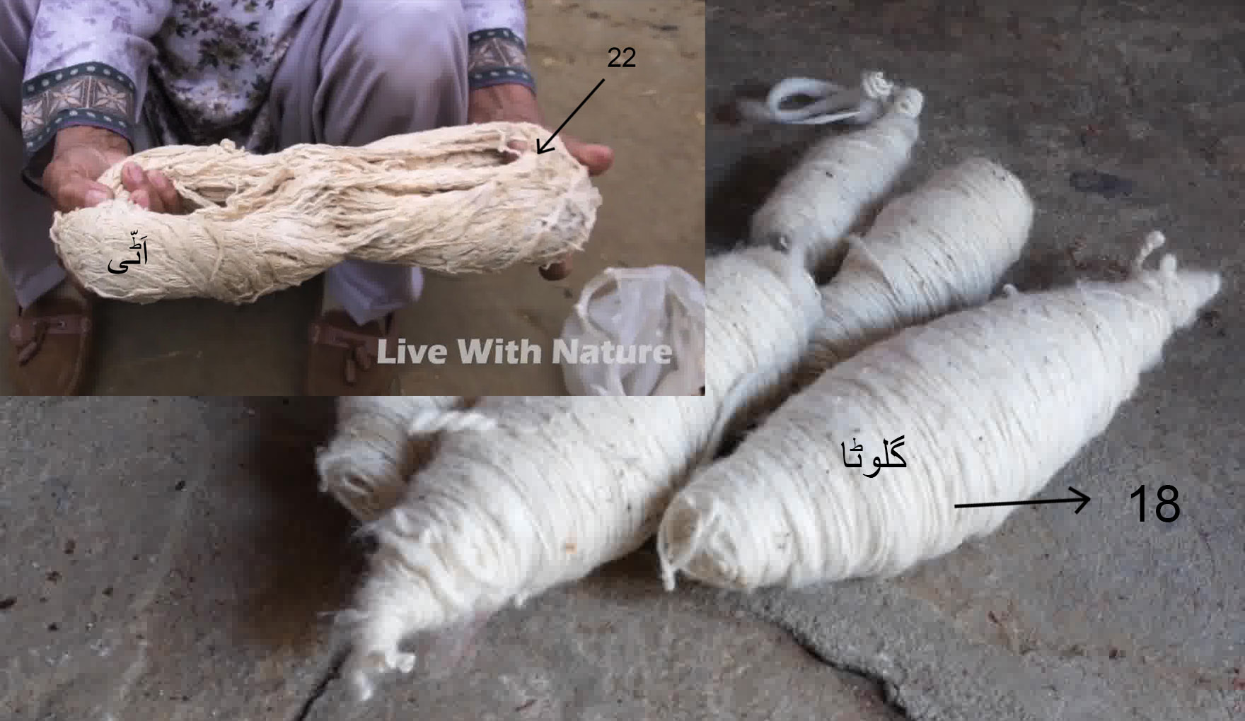 چرخہ ,charkha , ਚਰਖਾ