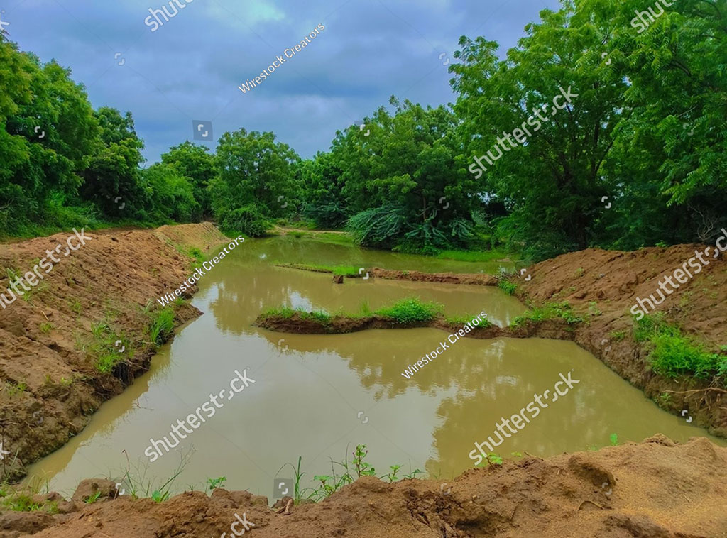    , برساتی پانی کا گڑھا, dkH dina ,چھوٹا گڑھا ,چھپڑ , چھپڑی,  چھپڑی وچ پانی پلانا , thatched roof,Thatched houses, huts;, chhappar, ਛਪੱਡ਼, ਛਪੱੜ, pond,  puddle,