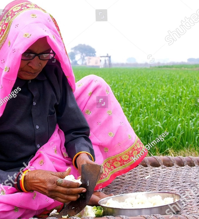 vegetable cutter,  دات,daat, ਦਾਤ, داتر ,داتی ,درانتی