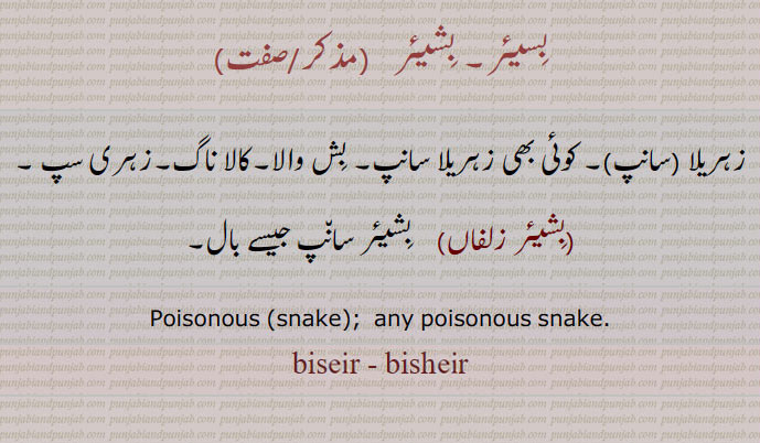  biseir, bisheir,poisonous snake , بسیئر, بشیئر,بسیئر زلفاں,بشیئر زلفاں, ਬਿਸੀਅਰ