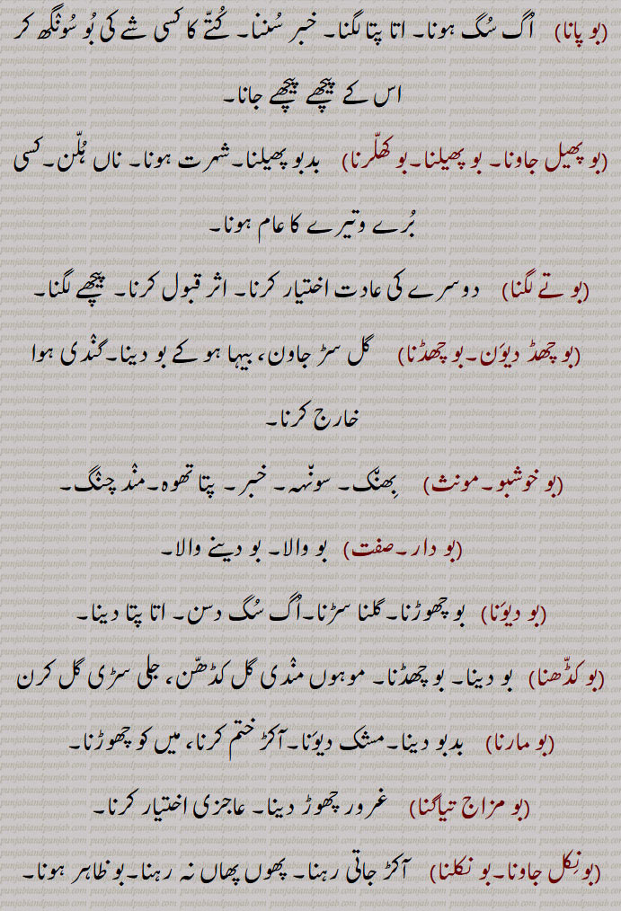  بو, مشک, بدبو,ہمک, بھیت, بوک, بکرے کی آواز, پانی , آئی بو,بوآلا,بساندا,بو آنا,بو ایلا,بوباس, واشنا,بو بکرا,بوبو,  بکرے کی مسلسل آواز,بوبو کرنا,بوبو ہوون,بو کاٹا,بوکاٹا کرنا,پتنگ کٹنے,بو کاٹا ہوونا,بو اڈاونا, بھانڈا پھوڑنا,بو اڈ جاونا,بو اڈنا,بوبلاں دا ماریا,بو پانا,بو پھیل جاونا, بو پھیلنا,بو کھلرنا,بو تے لگنا,بو چھڈ دیون,بو چھڈنا,بو خوشبو,بو دار,بو دیونا,بو کڈھنا,بو مارنا,بو مزاج تیاگنا, غرور چھوڑ دینا,بونکل جاونا,بو نکلنا,بو ہوونا, آکڑ ہونا,سڑاند ہونا, Smell, odour especially foul or offensive, bo nikal jaani,bo,  ਬੋ