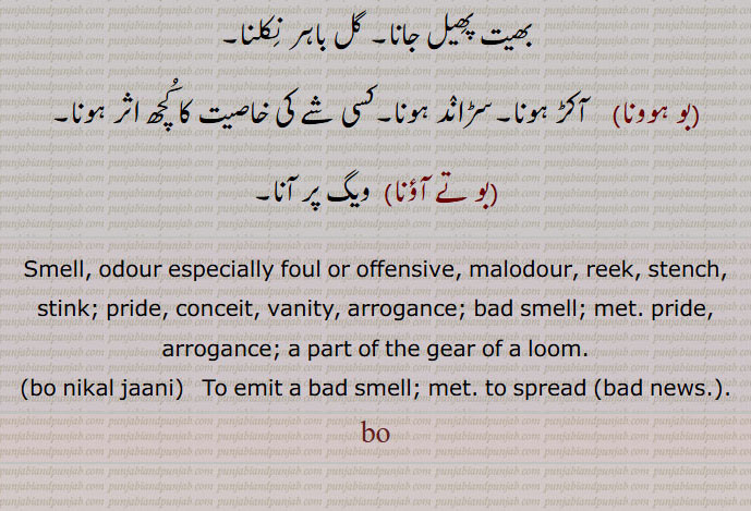  بو, مشک, بدبو,ہمک, بھیت, بوک, بکرے کی آواز, پانی , آئی بو,بوآلا,بساندا,بو آنا,بو ایلا,بوباس, واشنا,بو بکرا,بوبو,  بکرے کی مسلسل آواز,بوبو کرنا,بوبو ہوون,بو کاٹا,بوکاٹا کرنا,پتنگ کٹنے,بو کاٹا ہوونا,بو اڈاونا, بھانڈا پھوڑنا,بو اڈ جاونا,بو اڈنا,بوبلاں دا ماریا,بو پانا,بو پھیل جاونا, بو پھیلنا,بو کھلرنا,بو تے لگنا,بو چھڈ دیون,بو چھڈنا,بو خوشبو,بو دار,بو دیونا,بو کڈھنا,بو مارنا,بو مزاج تیاگنا, غرور چھوڑ دینا,بونکل جاونا,بو نکلنا,بو ہوونا, آکڑ ہونا,سڑاند ہونا, Smell, odour especially foul or offensive, bo nikal jaani,bo,  ਬੋ