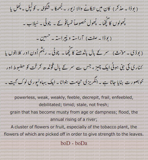   بوڈ, بوڈا, بوڈی ,بوڈنا,boD, ਬੋਡ, boDa, ਬੋਡਾ,  ,بودا  ناک کا پانی  نکما , گلا سڑ,اطغیانی , ڈوبنا, ایک گیت بہاولپوری,