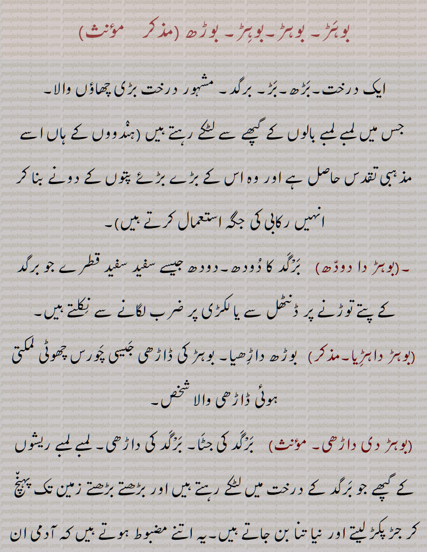 bohr, bohir, borh, بوہڑ ,ਬੋਹੜ,  ਬੋੜ੍, بوڑھ, برگد,بڑھ, برگد کا دودھ, bohar,bohir, barota,daahri, resa, resha,napa, war, worh, bar, baroti, ناپا, وڑ, وڑھ, ریسا, ریشا, بوڑھیاں پونا, بوڑھیاں پینا,بروٹی, بروٹا, بوہڑ دی داڑھی, بوہڑ داہڑیا, بوہڑ دا دودھ, دونے,