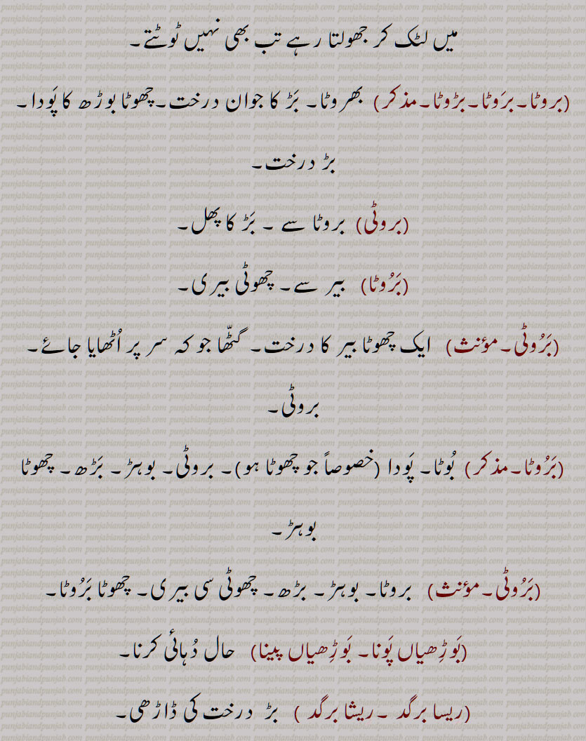 bohr, bohir, borh, بوہڑ ,ਬੋਹੜ,  ਬੋੜ੍, بوڑھ, برگد,بڑھ, برگد کا دودھ, bohar,bohir, barota,daahri, resa, resha,napa, war, worh, bar, baroti, ناپا, وڑ, وڑھ, ریسا, ریشا, بوڑھیاں پونا, بوڑھیاں پینا,بروٹی, بروٹا, بوہڑ دی داڑھی, بوہڑ داہڑیا, بوہڑ دا دودھ, دونے,