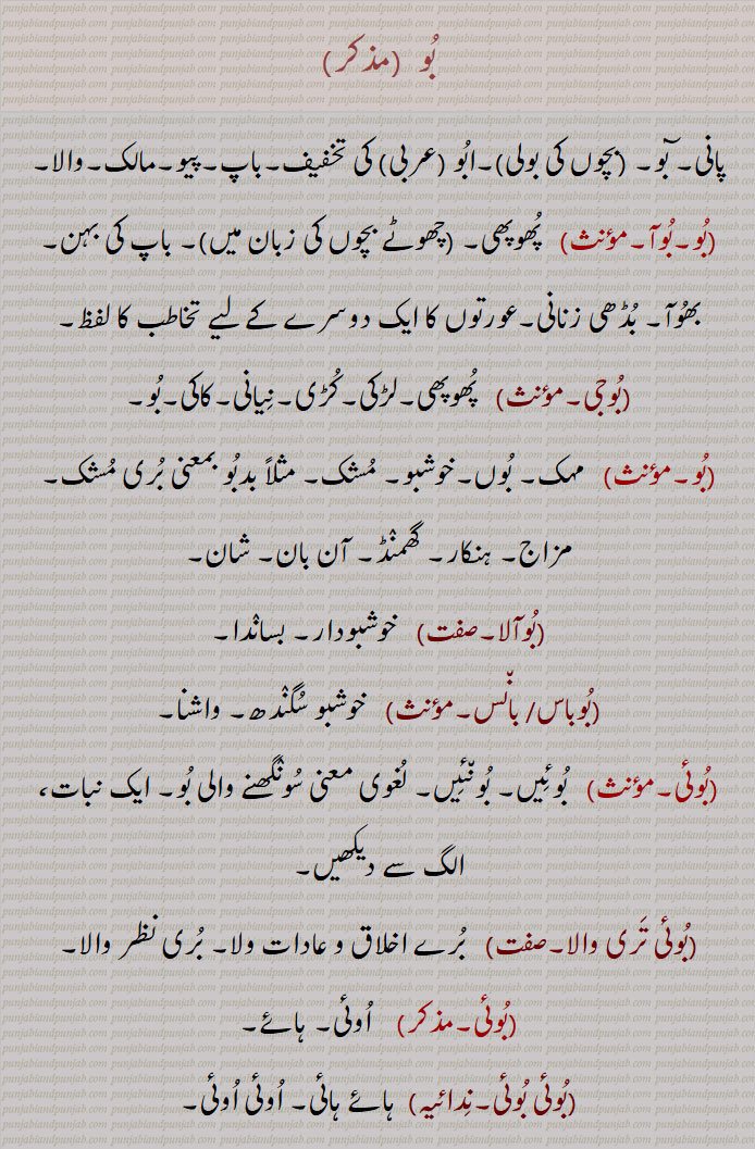   بو , بو,ابو , بوآ, پھوپھی,بوجی,لڑکی, مہک,خوشبو,بوآلا,بوباس,بوئی, بوئیں, بونئیں,بوئی تری والا,بوئی بوئی,وئی بوئی کرنا,بو بو پا کے,بوبو کرنا,بوبو گھتن,بوبو,بو پاہریا, بو دہائی,بوبو مارنا),بوبو,بوبو/بوبو بھلی پینا,بوبی, بوبے,بوا,بوآ,بوا,بون,بویا,بو اڈاون,بھیت بتانا, بوآ بھتریئی ہّا، لوک پرایا پھکا, بو,boo, ਬੂ  , boo, booa,Booji,boo boo, bobo, ਬੋਬੋ,ਬੂਬੂ,booa, boowa, ਬੂਆ,bhoa, ਭੂਆ,bo bo ,  