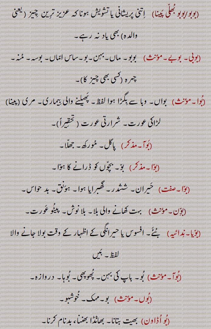   بو , بو,ابو , بوآ, پھوپھی,بوجی,لڑکی, مہک,خوشبو,بوآلا,بوباس,بوئی, بوئیں, بونئیں,بوئی تری والا,بوئی بوئی,وئی بوئی کرنا,بو بو پا کے,بوبو کرنا,بوبو گھتن,بوبو,بو پاہریا, بو دہائی,بوبو مارنا),بوبو,بوبو/بوبو بھلی پینا,بوبی, بوبے,بوا,بوآ,بوا,بون,بویا,بو اڈاون,بھیت بتانا, بوآ بھتریئی ہّا، لوک پرایا پھکا, بو,boo, ਬੂ  , boo, booa,Booji,boo boo, bobo, ਬੋਬੋ,ਬੂਬੂ,booa, boowa, ਬੂਆ,bhoa, ਭੂਆ,bo bo ,  