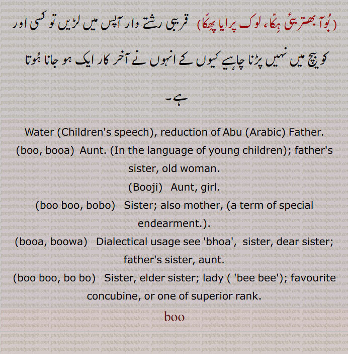   بو , بو,ابو , بوآ, پھوپھی,بوجی,لڑکی, مہک,خوشبو,بوآلا,بوباس,بوئی, بوئیں, بونئیں,بوئی تری والا,بوئی بوئی,وئی بوئی کرنا,بو بو پا کے,بوبو کرنا,بوبو گھتن,بوبو,بو پاہریا, بو دہائی,بوبو مارنا),بوبو,بوبو/بوبو بھلی پینا,بوبی, بوبے,بوا,بوآ,بوا,بون,بویا,بو اڈاون,بھیت بتانا, بوآ بھتریئی ہّا، لوک پرایا پھکا, بو,boo, ਬੂ  , boo, booa,Booji,boo boo, bobo, ਬੋਬੋ,ਬੂਬੂ,booa, boowa, ਬੂਆ,bhoa, ਭੂਆ,bo bo ,  