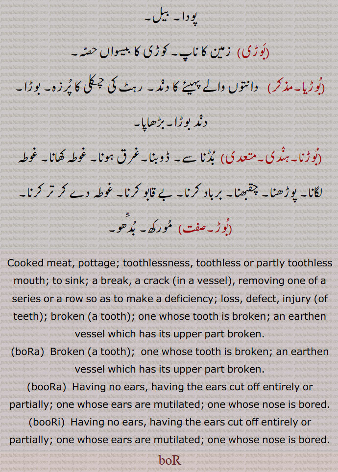  بوڑ, بوڈا ,بوڑنا, بوڑا کھوہ, بوڑی, بوڑیا , بوڑما, bora,ਬੋਡ਼ਾ, ਬੋਹਡ਼, ਬੋੜ, ਬੋੜਾ, ਬੋੜਮਾ, bor, بوڑ , ہم, وٹ, ہمشن, ہسڑ,,اکیلا پن, تنہائی, اکلاند,,بوڑ,بوہڑ,,  بڑھک, بھڑھ ,مارنا,,بوڑ مارنا, بڑھک مارنا,,بوڑ, بوڈا,,  ورل, تریڑ, قطار میں ایک کا نہ رہنے کی حالت, دانت کا ٹوٹنا, بوڑا ہونے کی حالت, بوڑا پن,پوپلا,
,بوڑا کھوہ,, وہ کنوآں جس کی مون ہی نہ بنی ہو یا ٹوٹی ہوئی ہو, بچوں کا ایک کھیل جس میں دو دو گیٹیاں سے دو بچے کھیلتے ہیں,,بوڑی,,  ٹوٹے ہوئے دانتوں والی عورت,
,بوڑ,, بہرا پن, نقصان,,بوڑ پوونا, بہت کم سنائی دینا, بہرہ ہونا,,بوڑا,,  بہت بولنے کی حالت,,بوڑا,/ بوڑی, , جس کے کان بالکل یا تھوڑے تھوڑے کٹے ہوئے ہوں,جس کا ناک بندھا ہوا ہے, تریڑ کھایا ہوا مٹی کا برتن, ببر, بوڑا, جس کا گردن سے گلا نہ ہو ,گھڑا وغیرہ, دیوانہ, پاگل,,بوڑیا,, رہٹ کی چکلی کے ساتھ مل کر گھومنے والا ڈھول,,بوڑ,, پکا گوشت,,بوڑ,سندھی,,  سالن,,بوڑ,, غرقابی, غشی, طغیانی, بوڈ,,بوڑ مرنا, ڈوب کر مر جانا,,بوڑا,,  غوطہ, ڈوبا, ایک مرتبہ قلم کو دوات میں ڈبونا,بولا ,ڈورا, بہرا,ایک شبزی کی پھلی, کنول وغیرہ کا ڈوڈا,,بوڑ, امر,  بوڑنا سے,,بوڑ پوونا,  غشی آنا,,بوڑما,, ڈوبواں سے,  گھی میں تل کر یا ملا کر بنایا ہوا,گھی میں تل کر بنایا ہوا ایک قسم کا پروٹھا,,بوڑ, ہندی,, زمین پر پھیلنے والی بوٹی یا دیوار وغیرہ پر چڑھنے والا پودا, بیل,,بوڑی, زمین کا ناپ, کوڑی کا بیسواں حصہ,,بوڑیا,,  دانتوں والے پہیئے کا دںد, رہٹ کی چکلی کا پرزہ, بوڑا, دند بوڑا,بڑھاپا,,بوڑنا,ہندی,متعدی, بڈنا سے, ڈوبنا,غرق ہونا, غوطہ کھانا, غوطہ لگانا, پوڑھنا, چقبھنا, برباد کرنا, بے قابو کرنا, غوطہ دے کر تر کرنا,,بوڑ,صفت, مورکھ, بدّھو,
Cooked meat, pottage; toothlessness, toothless or partly toothless mouth; to sink; a break, a crack ,in a vessel, removing one of a series or a row so as to make a deficiency; loss, defect, injury ,of teeth; broken ,a tooth; one whose tooth is broken; an earthen vessel which has its upper part broken.,boRa, ਬੋਡ਼ਾ a. Broken ,a tooth;  one whose tooth is broken; an earthen vessel which has its upper part broken.,booRa, ਬੂਡ਼ਾ   Having no ears, having the ears cut off entirely or partially; one whose ears are mutilated; one whose nose is bored.,booRi,  ਬੂਡ਼ੀ  Having no ears, having the ears cut off entirely or partially; one whose ears are mutilated; one whose nose is bored.boR  , ਬੋਰ