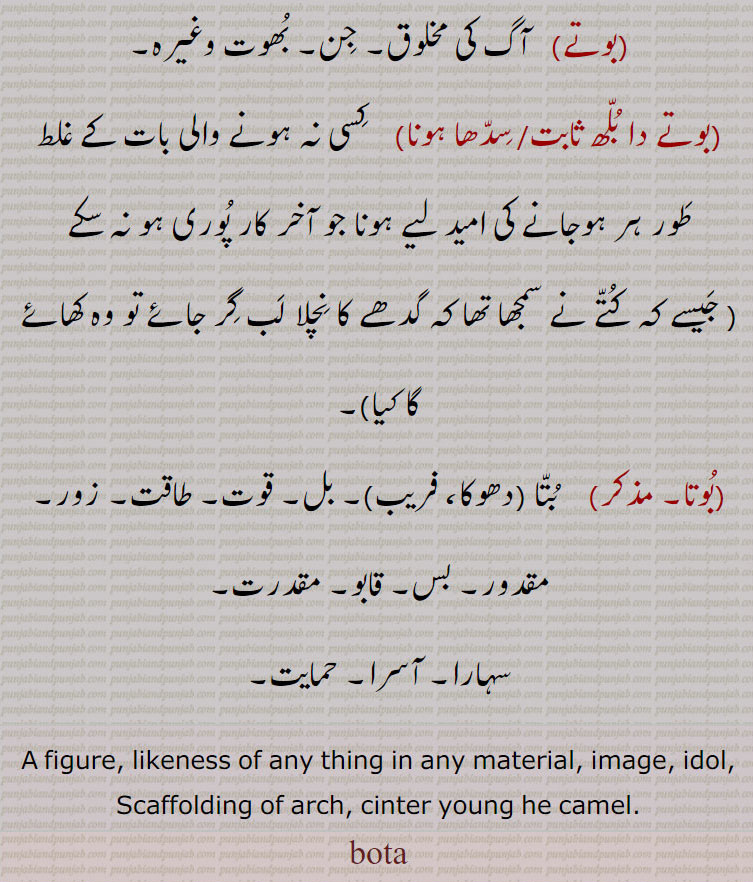 بوتا, بوتہ  ,بوتا   ایک شکل, تشبیہ, تصویر, مجسمہ, بت, پتلا, معماری میں ڈاٹ وغیرہ بنانے کے لیے جو پہلے قلبوت بنایا جائے, صاف کرنے کا, جھاڑن مارنا,,بوتا بننا    ساکت و صامت ہو جانا, تصویر بن جانا,,بوتہ, بوْتہ, ترکی، فارسی,     بتارو, ٹوڈا, اونٹ کا بچہ, اونٹ, شتر,,مجازاً، طنزاً  بھونڈا اور بے ڈول آدمی، بدشکل اور بھدا آدمی,
بوتی,     چھوٹی اونٹنی, ڈاچی, بدشکل اور بھدی عورت,,بوتے   آگ کی مخلوق, جن, بھوت وغیرہ,,بوتے دا بلھ ثابت/ سدھا ہونا    کسی نہ ہونے والی بات کے غلط طور ہر ہوجانے کی امید لیے ہونا جو آخر کار پوری ہو نہ سکے,جیسے کہ کتے نے سمجھا تھا کہ گدھے کا نچلا لب گر جائے تو وہ کھائے گا کیا,,بوتا,     بتا دھوکا، فریب, بل, قوت, طاقت, زور,,مقدور, بس, قابو, مقدرت,,سہارا, آسرا, حمایت,,A figure, likeness of any thing in any material, image, idol, Scaffolding of arch, cinter young he camel. بوتا,بوتہ,بوتے,,bota,boota ,ਬੋਤਾ 