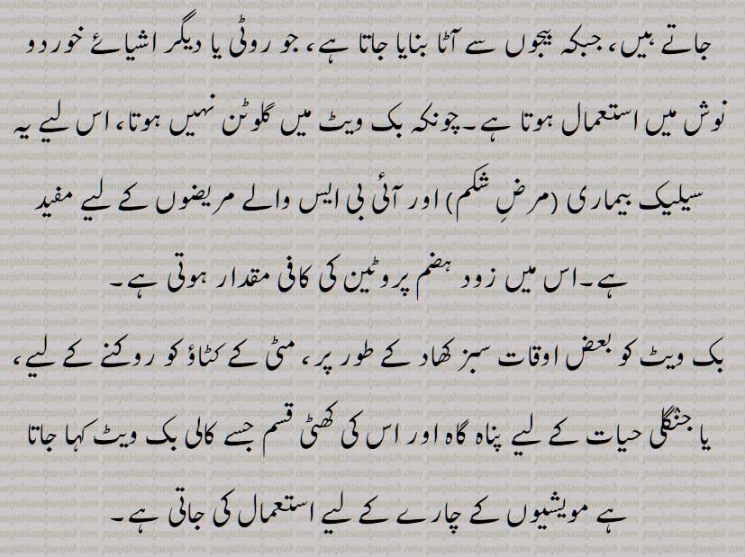    برؤ, دڑؤ ,دیلار,گندم سیاہ,کٹو, گندم گاوی, گندم راش, راش‌گندم,گندم کنگن, بھورا آٹا,اوگل, بک ویٹ , Buck-wheat, brau, drau, phaphra, kultu, kathu, phapar, garo, kotu,  kuktu, ogal, kulti, kathu, bv crau, doron, kaadu godhi, Fagopyrum esculentum  , brau, drau, ਦੜਊ, ਦਡ਼ਊ, darau , ogal,  ਓਗਲ, daraoo, ਦਡ਼ਊ, ਉਗਲ ,ugal,ਬਰਊ,  ਦੜਊ, ਦਡ਼ਊ, 