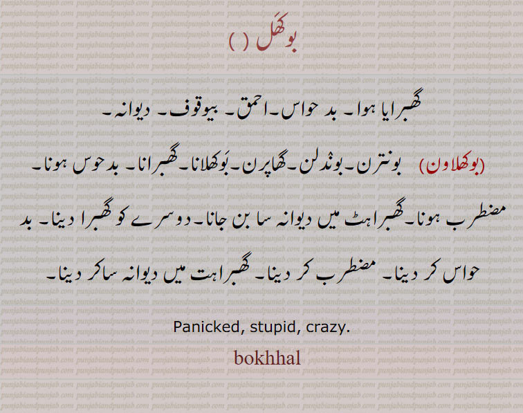 bukkhhal, bokhhal,بکھل, بوکھل,بکھل, بکھل  بکھڑ,bukkhal,,  بوکھل,بوکھلاون,bokhal,bukk. too much. full, بک بھرا ہوا, بہت زیادہ, ڈنگر باندھنے کا کمرا,,ਬੁਖਲ، ਬੌਖਲਾਨਾ ,بوکھل ,گھبرایا ہوا, بد حواس,احمق, بیوقوف, دیوانہ,,بوکھلاون,  بونترن,بوندلن,گھاپرن,بوکھلانا,گھبرانا, بدحوس ہونا, مضطرب ہونا,گھبراہٹ میں دیوانہ سا بن جانا,دوسرے کو گھبرا دینا, بد حواس کر دینا, مضطرب کر دینا, گھبراہت میں دیوانہ ساکر دینا,,Panicked, stupid, crazy.bokhal,بکھل ,,بک , بھرا ہوا,بکھل,  بہت زیادہ,بکھل  بکھڑ,   ڈنگر بڽھن دا مکان,مویشی باندھنے کا کمرا, Too much, full.,bukkhal