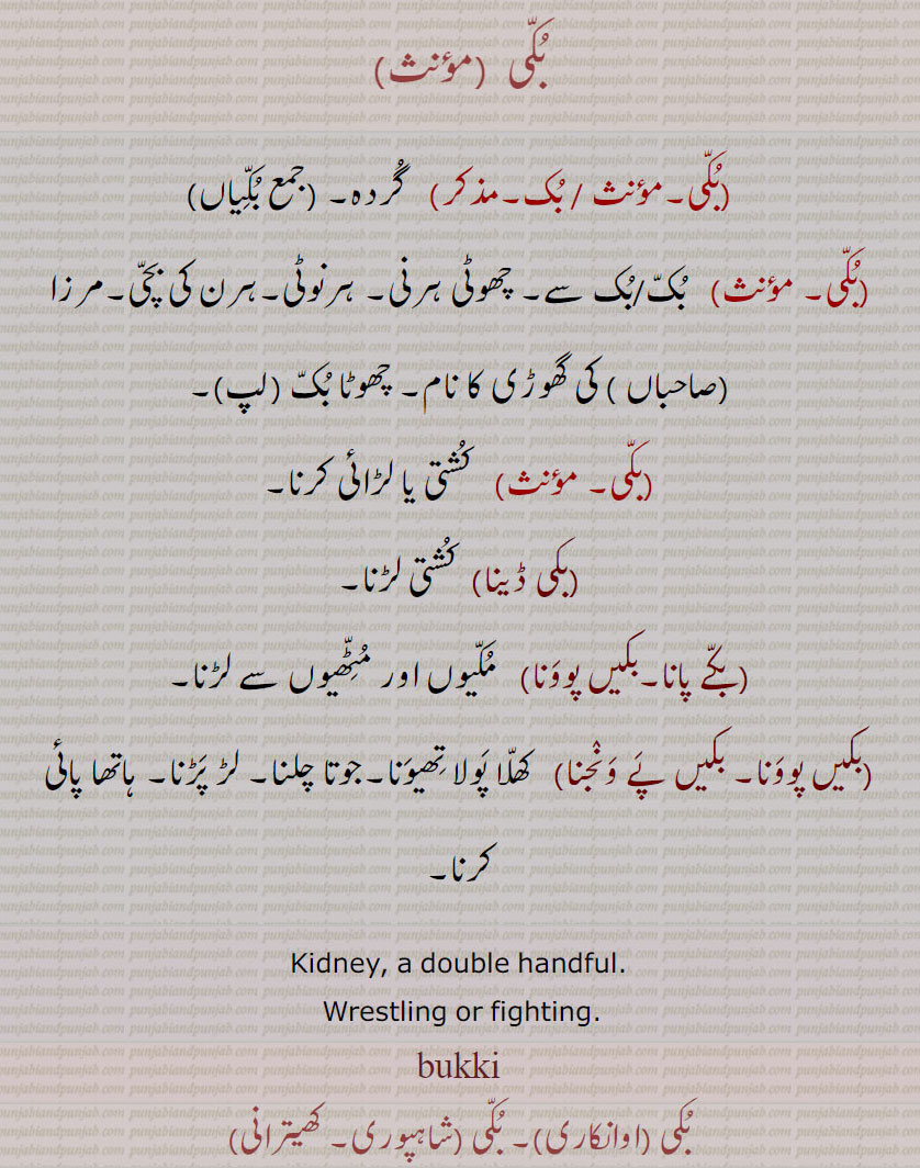,bukki,Kidney , buki, ਬੁੱਕੀ , ਬੁਕੀ , ਬੁੱਕ,گردہ , بکی , بک, بکیاں, بکی ڈینا, بکے پانا, بکیں پوونا, بکیں پے ونجنا,   ,بکی  ,بکی, بک, گردہ,جمع بکّیاں,بکی, بک/بک سے, چھوٹی ہرنی, ہرنوٹی,ہرن کی بچی,مرزا صاحباں , کی گھوڑی کا نام, چھوٹا بک,لپ, کشتی یا لڑائی کرنا,بکی ڈینا,  کشتی لڑنا,بکے پانا,بکیں پوونا,  مکیوں اور مٹّھیوں سے لڑنا,بکیں پوونا, بکیں پے ونجنا,  کھلا پولا تھیونا,جوتا چلنا, لڑ پڑنا, ہاتھا پائی کرنا,Kidney, a double handful., Wrestling or fighting.,bukki 