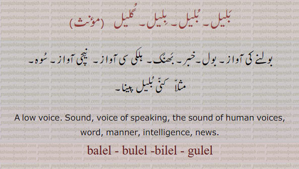  بلیل,گلیل ,bilel, ਬਿਲੇਲ, bulel,  ਬੁਲੇਲ, balel, gulel ,low voice, sound, voice of speaking, the sound of human voice. word. manner. intelligence. news.بولنے کی آواز, بول, خبر, بھنک, ہلکی سی آواز, نیچی آواز۔, سوہ, کنی بلیل پینا, 
 