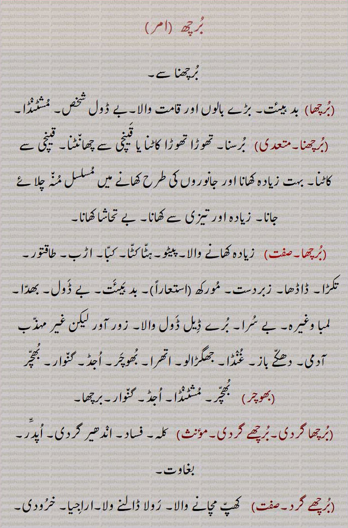 ਬੁਰਛ,  ਬੁਰਛਾ,  ਬੁਰਛਨਾ,ਬੁਰਛਾਗਰਦੀ , ਗੁੰਡਪੁਣਾ , ਬੁਰਛਾ, ਬੁਰਛਨਾ,برچھ  ,برچھنا سے,,برچھا)  بد ہیئت, بڑے بالوں اور قامت والا,بے ڈول شخص, مشٹنڈا,برچھنا, برسنا, تھوڑا تھوڑا کاٹنا یا قینچی سے چھانٹنا, قینچی سے کاٹنا, بہت زیادہ کھانا اور جانوروں کی طرح کھانے میں مسلسل منہ چلائے جانا, زیادہ اور تیزی سے کھانا, بے تحاشا کھانا,برچھا,زیادہ کھانے والا,پیٹو,ہٹا کٹا, کبا, اڑب, طاقتور, تکڑا, ڈاڈھا, زبردست, مورکھ (استعاراً), بد ہیئت, بے ڈول, بھدا, لمبا وغیرہ, بے سرا, برے ڈیل ڈول والا, زور آور لیکن غیر مہذب آدمی, دھکے باز, غنڈا, جھگڑالو, اتھرا, بھوچر, اجڈ, گنوار, بھچر (بھوچر)    بھچر, مشٹنڈا, اجڈ, گنوار,برچھا,برچھا گردی,برچھے گردی,  کلہ, فساد, اندھیر گردی, اپدّر, بغاوت,برچھے گرد, کھپ مچانے والا, رولا ڈالنے ولا,اراجیا, خرودی,برچھاون, برچھاونا,  جلدی جلدی کھلانا, بہت کھلانا, بغیر چبائے کھانا,برچھن,برچھنا,  جلدی جلدی کھانا, بہت کھانا, بغیر چبائے کھانا,برچھواون)  جلدی جلدی کھلانا, زیادہ کھلانا,برچھک,برچھک, برشچک, جوتش کے مطابق بارہ راسوں میں سے آٹھویں راس ” دھن “ سے پہلے, برج عقرب,Perverse, impolite, rude, unpolished; stupid; bully, blusterer, blustering; villainous; strong, stout, hefty; overbearing, violent, atrocious, domineering; a spear, a lance.,burchhe gardi,  Rebellion, insurrection; mutiny.,burchhna,  To cut slightly, to trim with scissors.,burchh gardi,  Same as 'ghunda gardi', hooliganism.,burchhak,   Scorpio; 'burj Aqrab'; Scorpius.,burchh, 
  