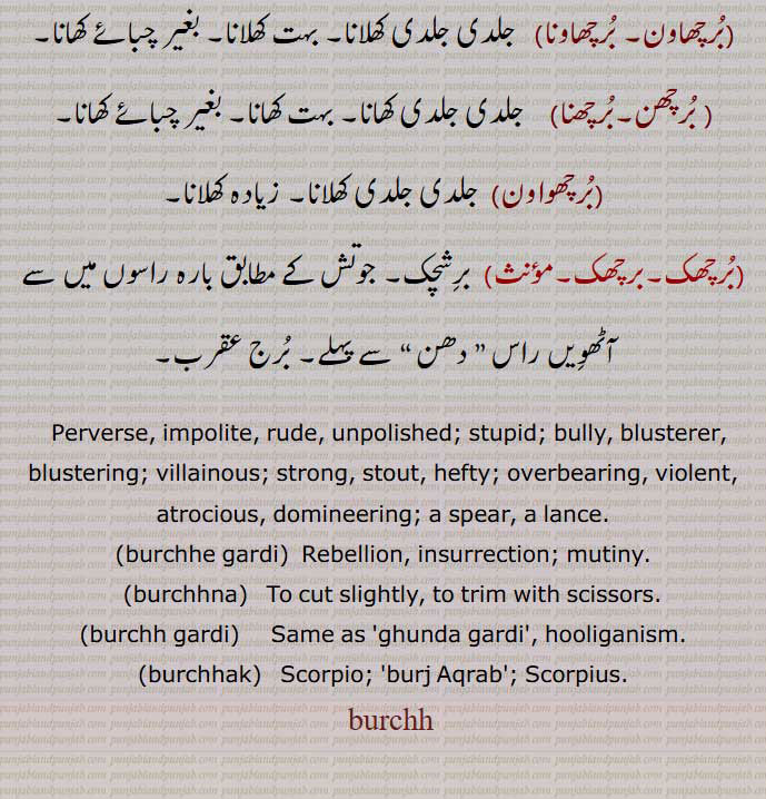 ਬੁਰਛ,  ਬੁਰਛਾ,  ਬੁਰਛਨਾ,ਬੁਰਛਾਗਰਦੀ , ਗੁੰਡਪੁਣਾ , ਬੁਰਛਾ, ਬੁਰਛਨਾ,برچھ  ,برچھنا سے,,برچھا)  بد ہیئت, بڑے بالوں اور قامت والا,بے ڈول شخص, مشٹنڈا,برچھنا, برسنا, تھوڑا تھوڑا کاٹنا یا قینچی سے چھانٹنا, قینچی سے کاٹنا, بہت زیادہ کھانا اور جانوروں کی طرح کھانے میں مسلسل منہ چلائے جانا, زیادہ اور تیزی سے کھانا, بے تحاشا کھانا,برچھا,زیادہ کھانے والا,پیٹو,ہٹا کٹا, کبا, اڑب, طاقتور, تکڑا, ڈاڈھا, زبردست, مورکھ (استعاراً), بد ہیئت, بے ڈول, بھدا, لمبا وغیرہ, بے سرا, برے ڈیل ڈول والا, زور آور لیکن غیر مہذب آدمی, دھکے باز, غنڈا, جھگڑالو, اتھرا, بھوچر, اجڈ, گنوار, بھچر (بھوچر)    بھچر, مشٹنڈا, اجڈ, گنوار,برچھا,برچھا گردی,برچھے گردی,  کلہ, فساد, اندھیر گردی, اپدّر, بغاوت,برچھے گرد, کھپ مچانے والا, رولا ڈالنے ولا,اراجیا, خرودی,برچھاون, برچھاونا,  جلدی جلدی کھلانا, بہت کھلانا, بغیر چبائے کھانا,برچھن,برچھنا,  جلدی جلدی کھانا, بہت کھانا, بغیر چبائے کھانا,برچھواون)  جلدی جلدی کھلانا, زیادہ کھلانا,برچھک,برچھک, برشچک, جوتش کے مطابق بارہ راسوں میں سے آٹھویں راس ” دھن “ سے پہلے, برج عقرب,Perverse, impolite, rude, unpolished; stupid; bully, blusterer, blustering; villainous; strong, stout, hefty; overbearing, violent, atrocious, domineering; a spear, a lance.,burchhe gardi,  Rebellion, insurrection; mutiny.,burchhna,  To cut slightly, to trim with scissors.,burchh gardi,  Same as 'ghunda gardi', hooliganism.,burchhak,   Scorpio; 'burj Aqrab'; Scorpius.,burchh, 
  