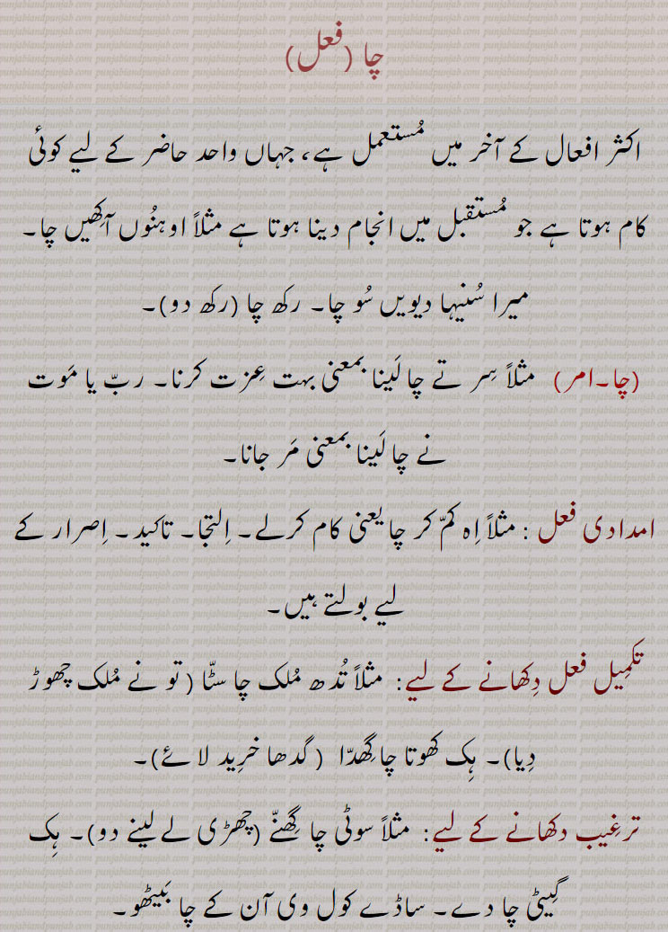   ch, cha,اکثر افعال کے آخر میں مستعمل ہے، جہاں واحد حاضر کے لیے کوئی کام ہوتا ہے جو مستقبل میں انجام دینا ہوتا ہے مثلاً اوہنوں آکھیں چا, میرا سنیہا دیویں سو چا, رکھ چا (رکھ دو), مثلاً سر تے چا لینا بمعنی بہت عزت کرنا, رب یا موت نے چا لینا بمعنی مر جانا,امدادی فعل : مثلاً اہ کم کر چا یعنی کام کرلے, التجا, تاکید, اصرار کے لیے بولتے ہیں,تکمیل فعل دکھانے کے لیے:  مثلاً تدھ ملک چا سٹا ( تو نے ملک چھوڑ دیا), ہک کھوتا چا گھدا  ( گدھا خرید لائے),ترغیب دکھانے کے لیے:  مثلاً سوٹی چا  گھنے (چھڑی لے لینے دو), ہک گیٹی چا دے, ساڈے کول وی آن کے چا بیٹھو,عزم دکھانے کے لیے:  مثلاً  تاں پھر کائی ہور چن چا چڑھیسیا,عمل کی تیزی دکھانے کے لیے:  مثلاً  جھگی ساڑ کے مار کے بھڽ بھانڈے ایس فقر نوں چا اجاڑیا جے,نفی کی تاکید دکھانے کے لیے:   مثلاً  تینڈھی پسند بہوں چا آئیا (تم نے اسے بالکل پسند نہ کیا),اجازت ظاہر کرنے کے لیے:  مثلا آوے چا ( آنے دو),It is generally used as prefix before some verbs.cha,ਚਾ  